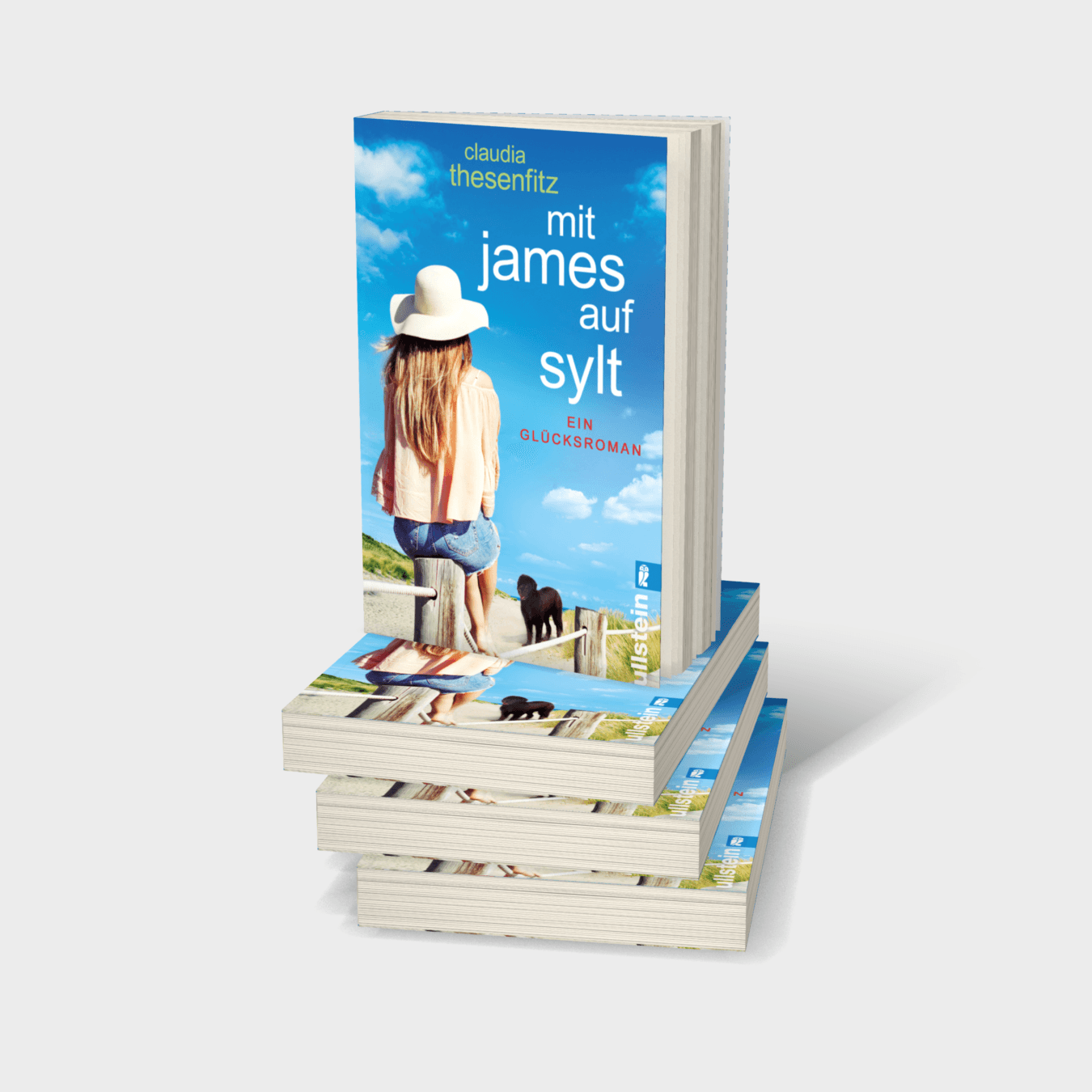 Buchcover von Mit James auf Sylt