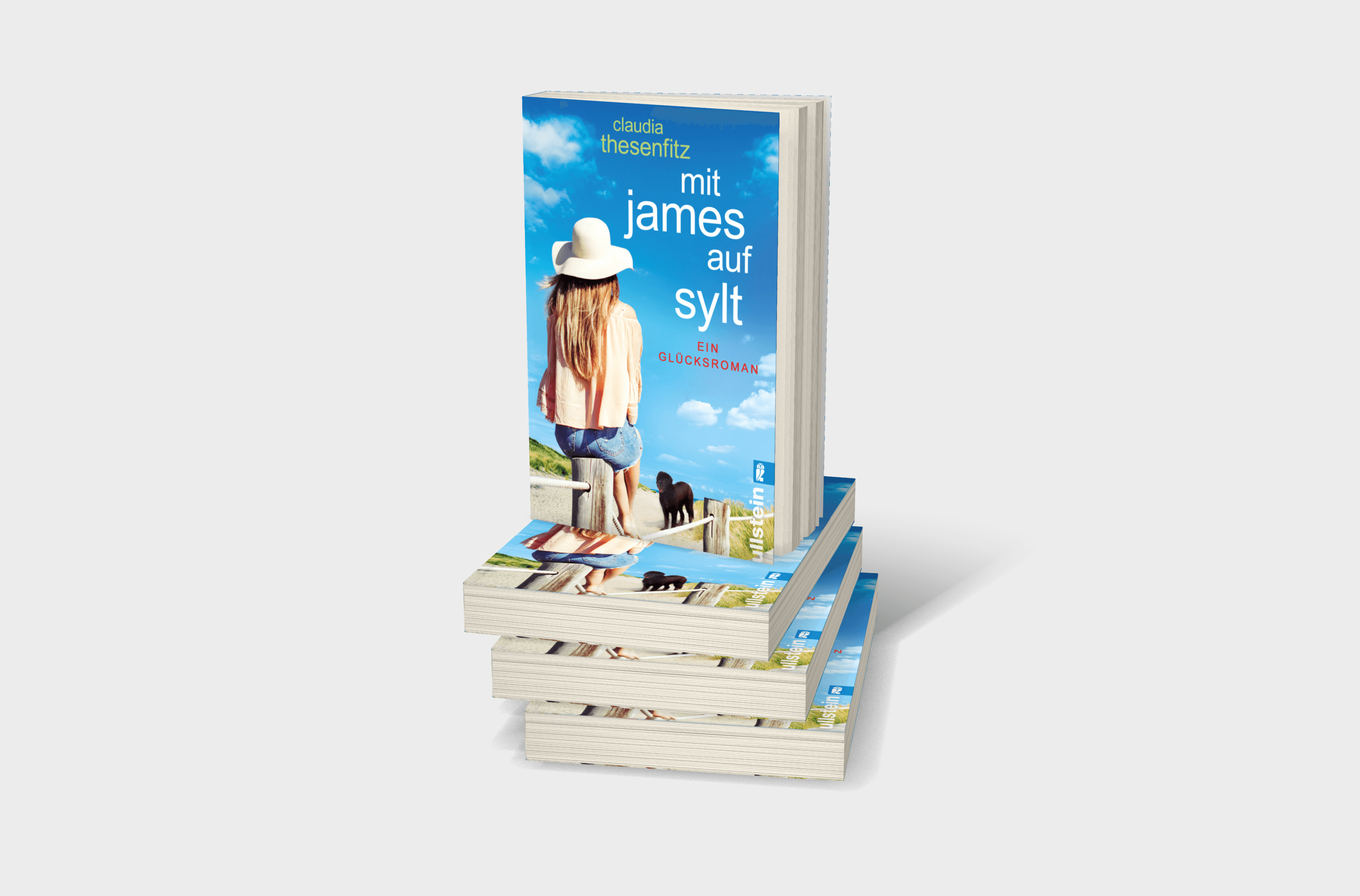 Buchcover von Mit James auf Sylt