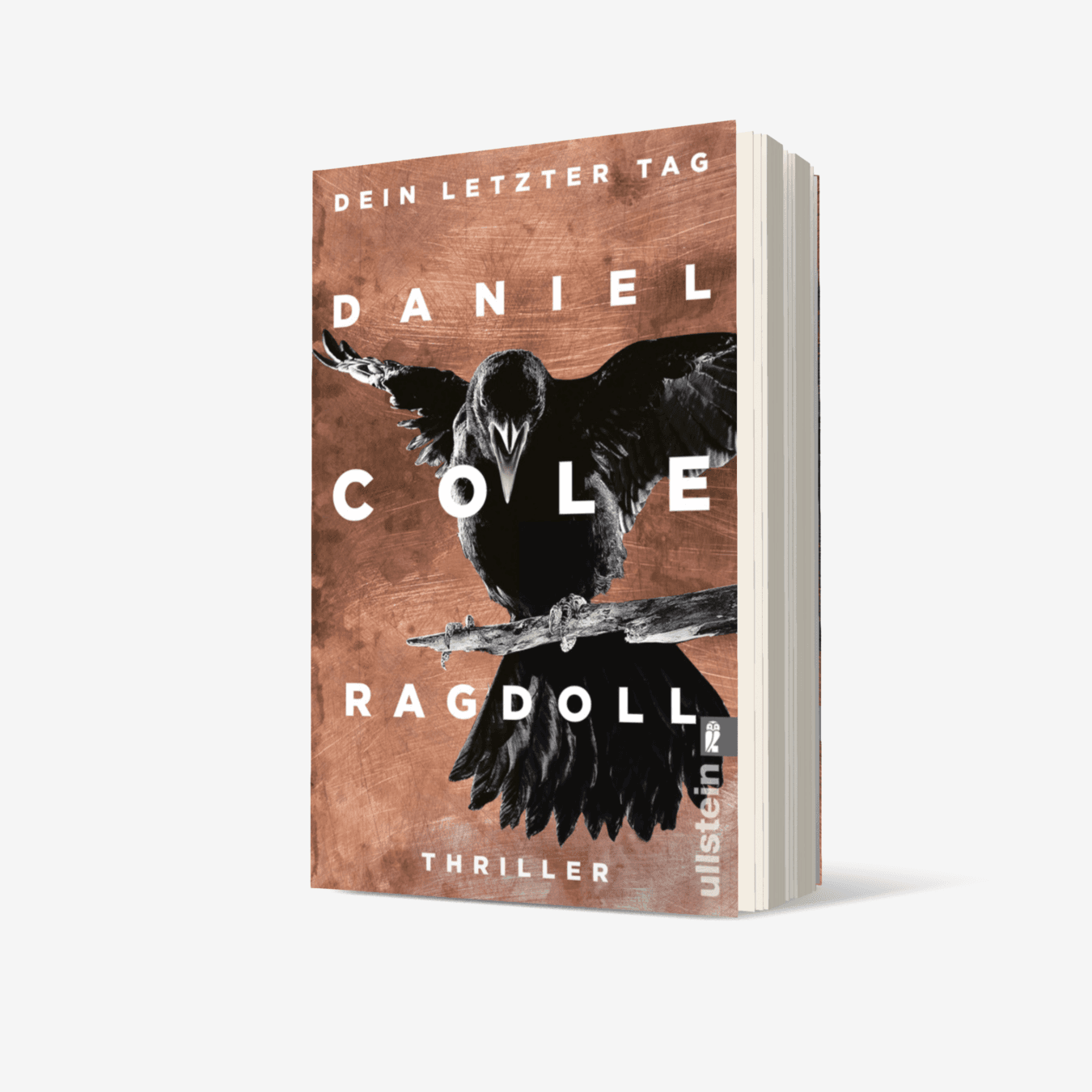 Buchcover von Ragdoll - Dein letzter Tag (Ein New-Scotland-Yard-Thriller 1)