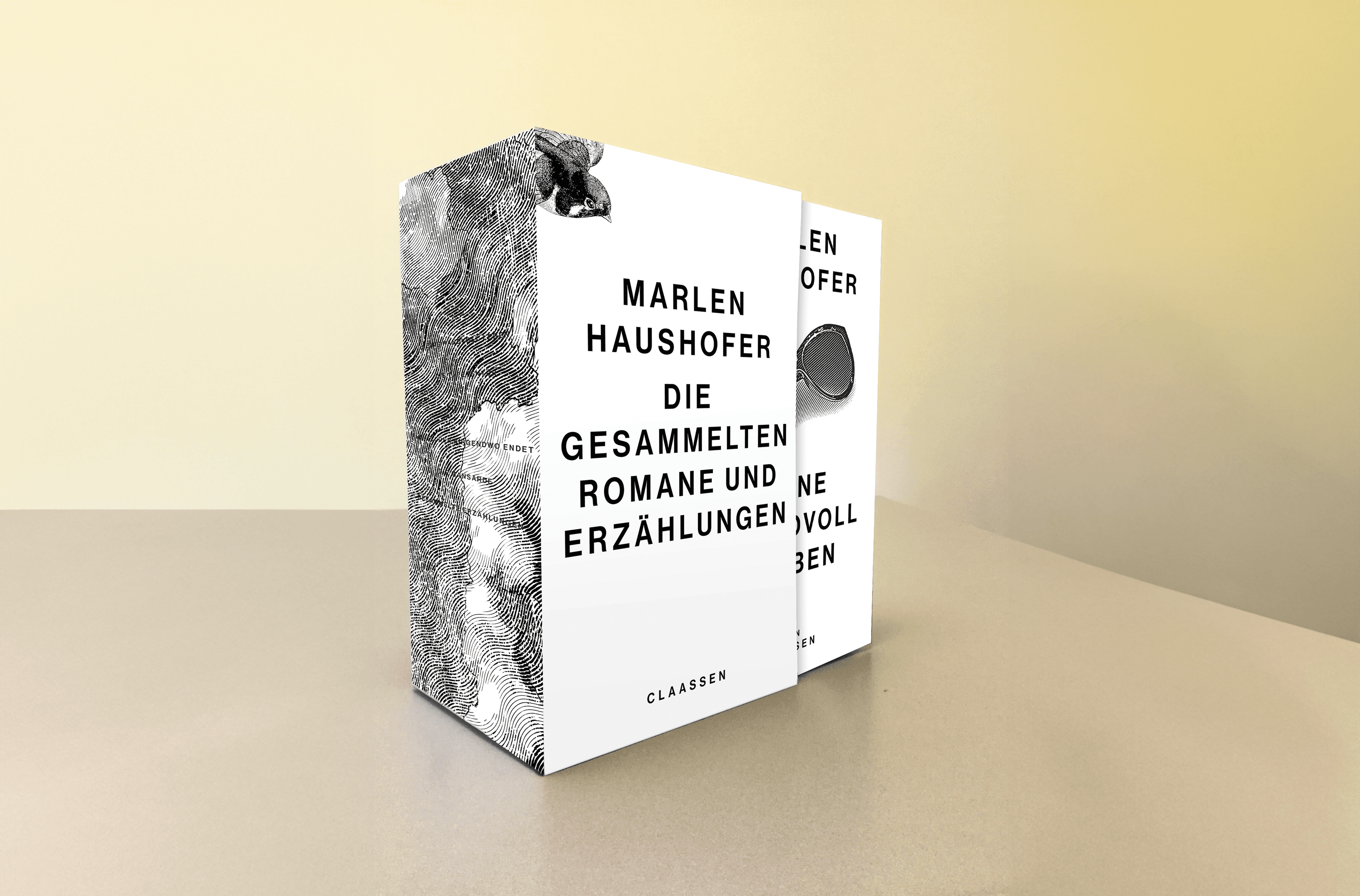 Buchcover von Marlen Haushofer: Die gesammelten Romane und Erzählungen