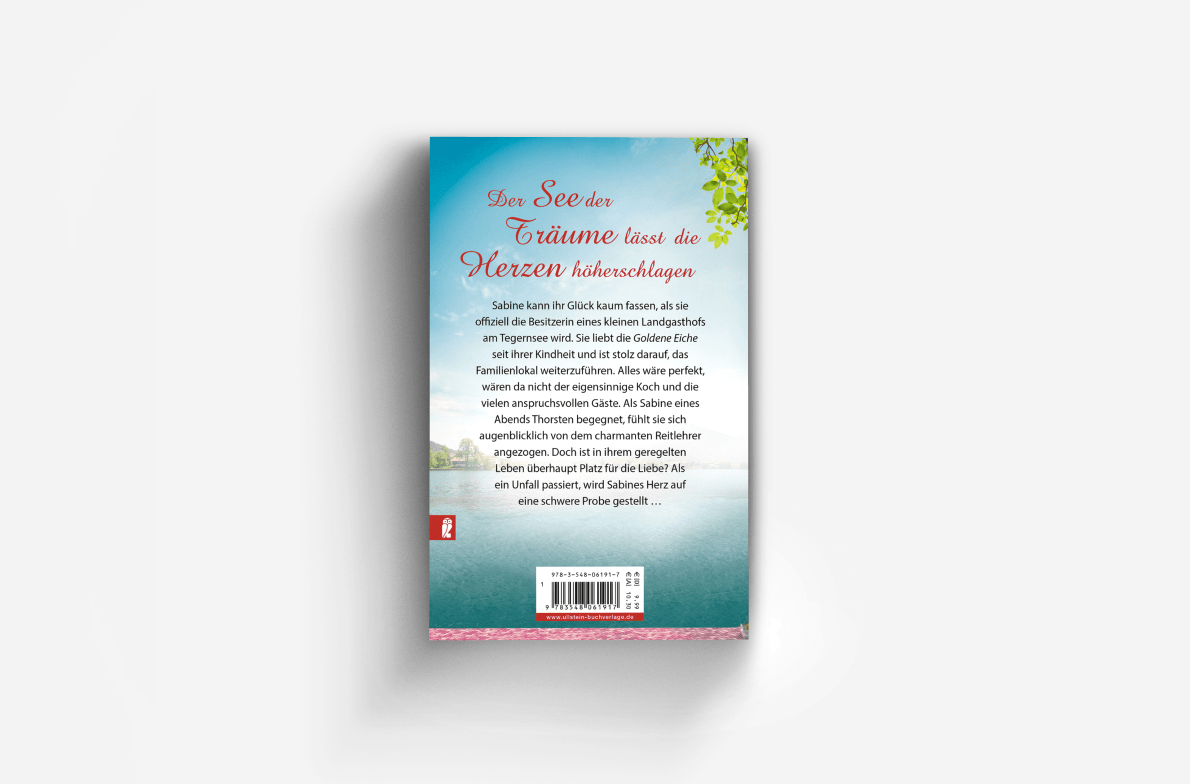 Buchcover von Sommernächte am Tegernsee