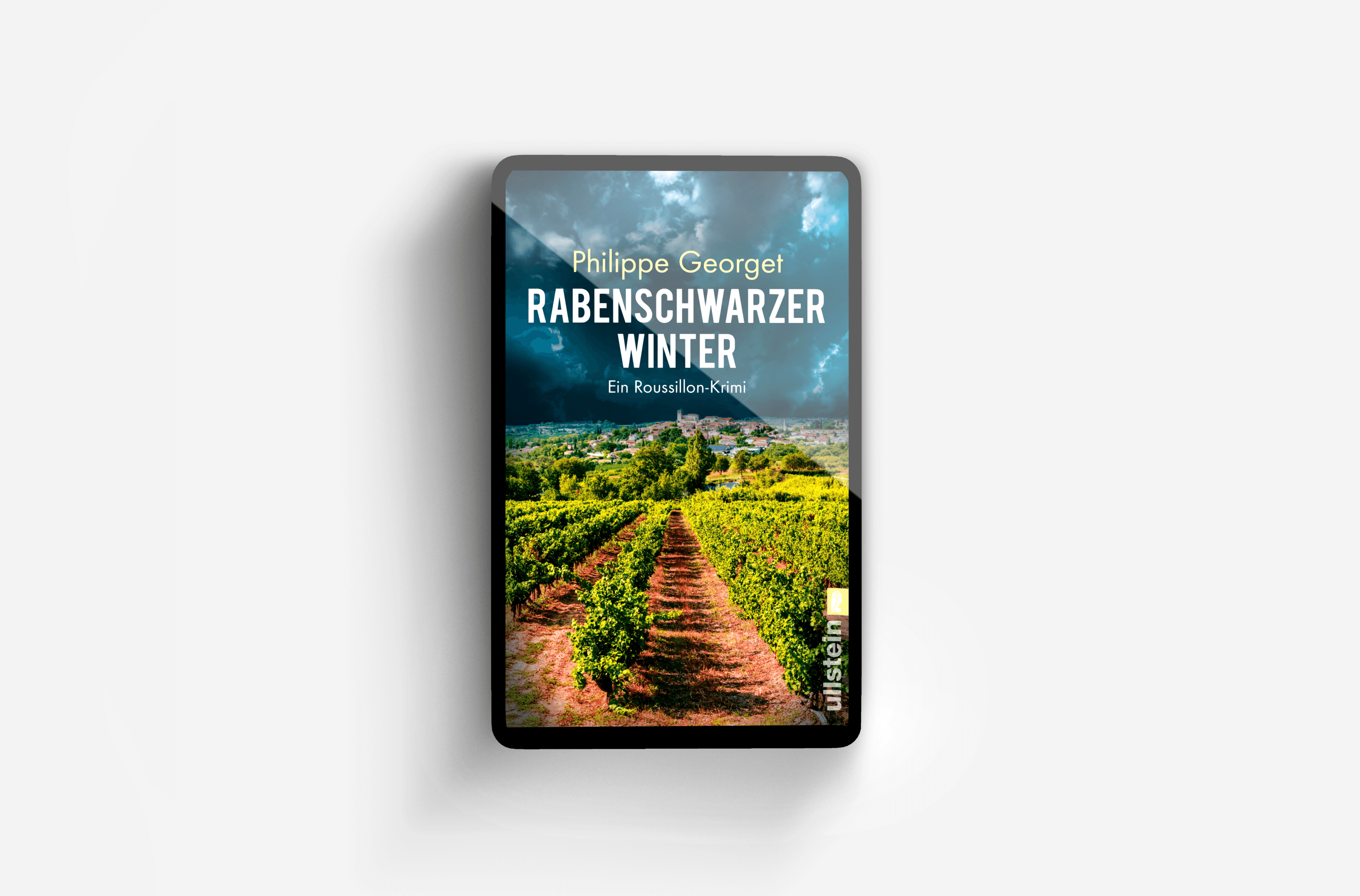 Buchcover von Rabenschwarzer Winter (Roussillon-Krimi 3)