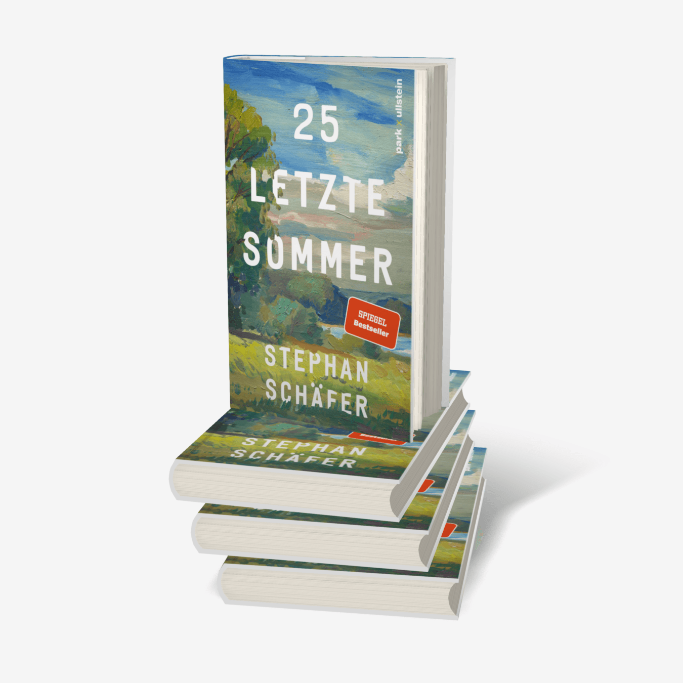 Buchcover von 25 letzte Sommer
