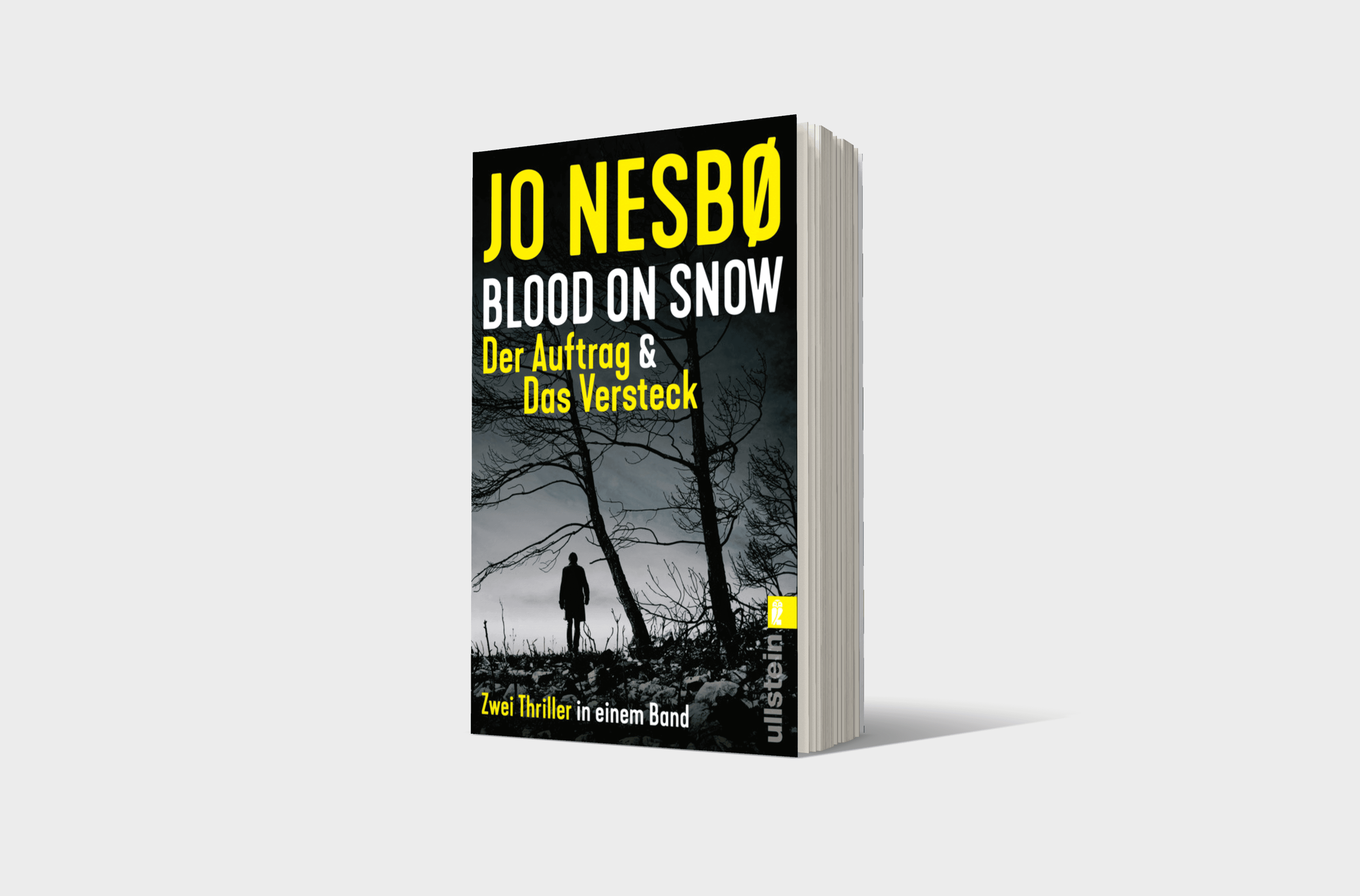 Buchcover von Blood on Snow. Der Auftrag & Das Versteck (Blood on Snow)