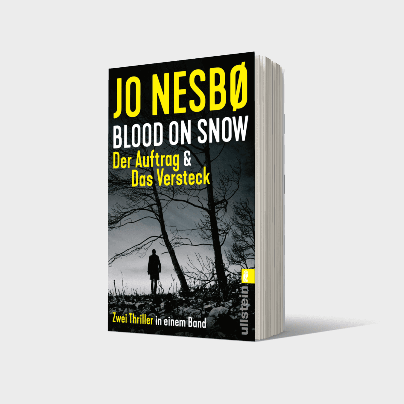 Buchcover von Blood on Snow. Der Auftrag & Das Versteck (Blood on Snow)