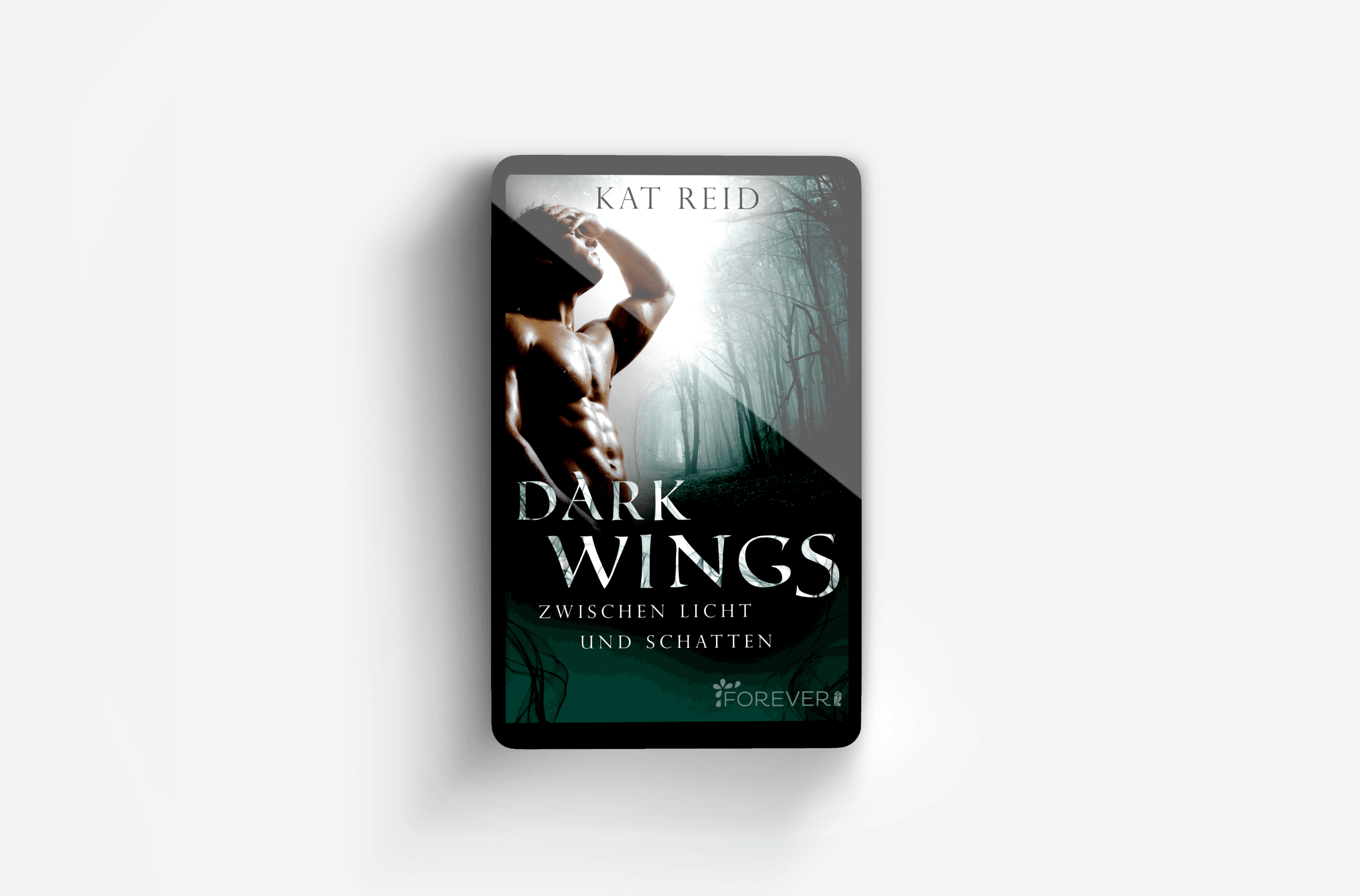 Buchcover von Dark Wings