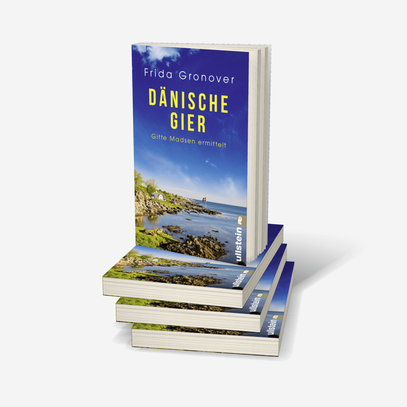 Buchcover von Dänische Gier (Ein Gitte-Madsen-Krimi 3)