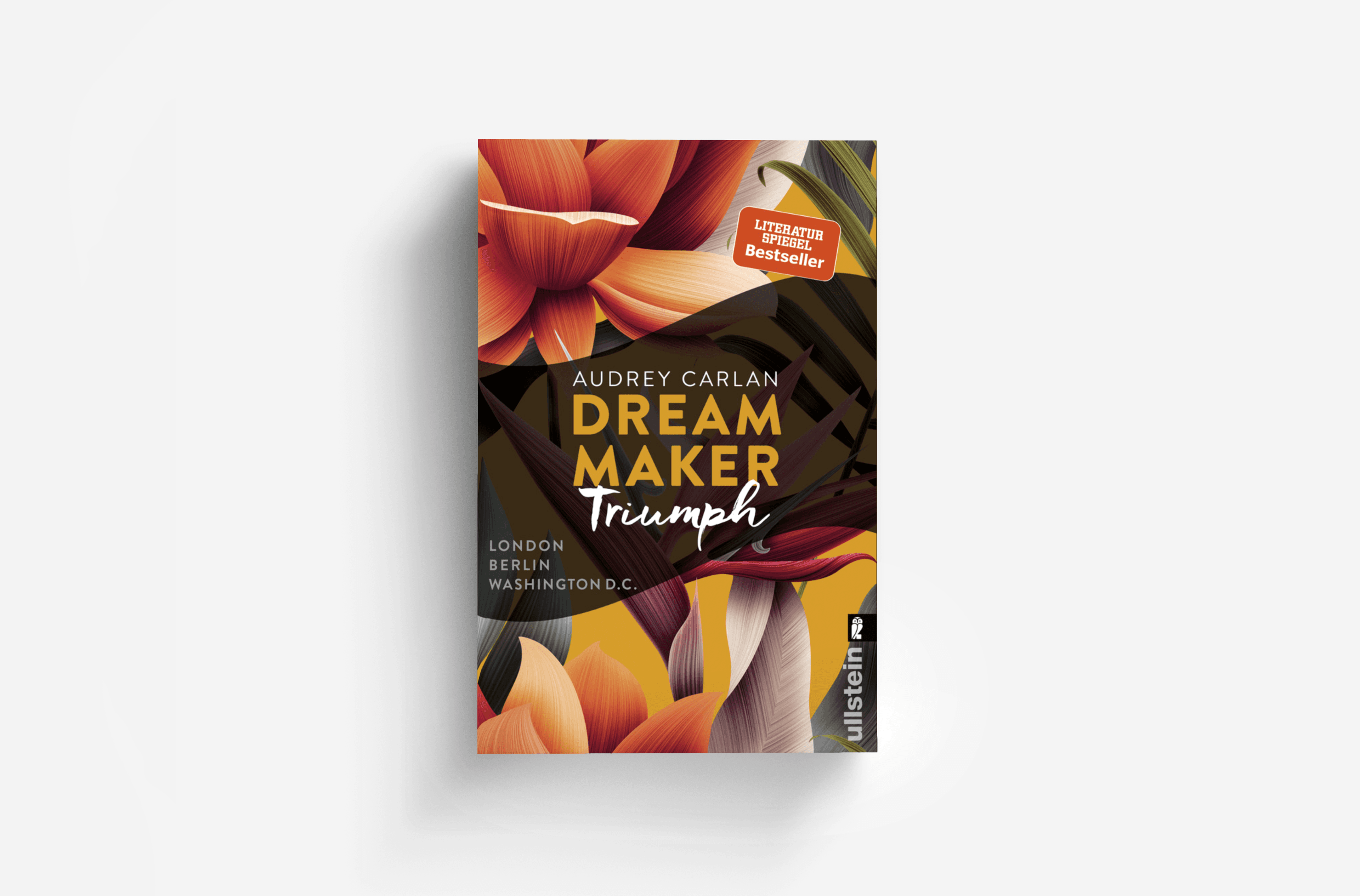 Buchcover von Dream Maker - Triumph (The Dream Maker 3)