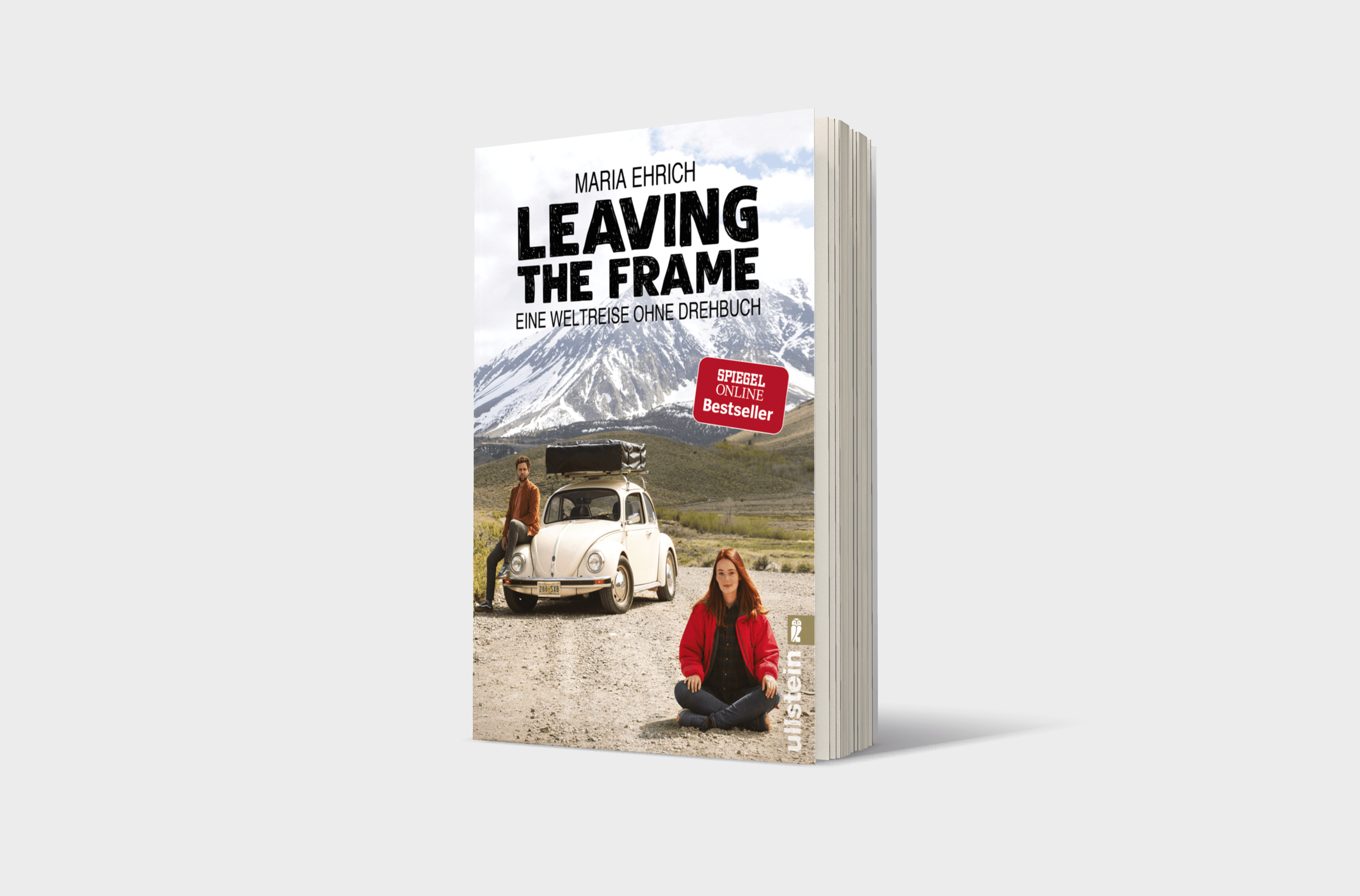 Buchcover von Leaving the Frame