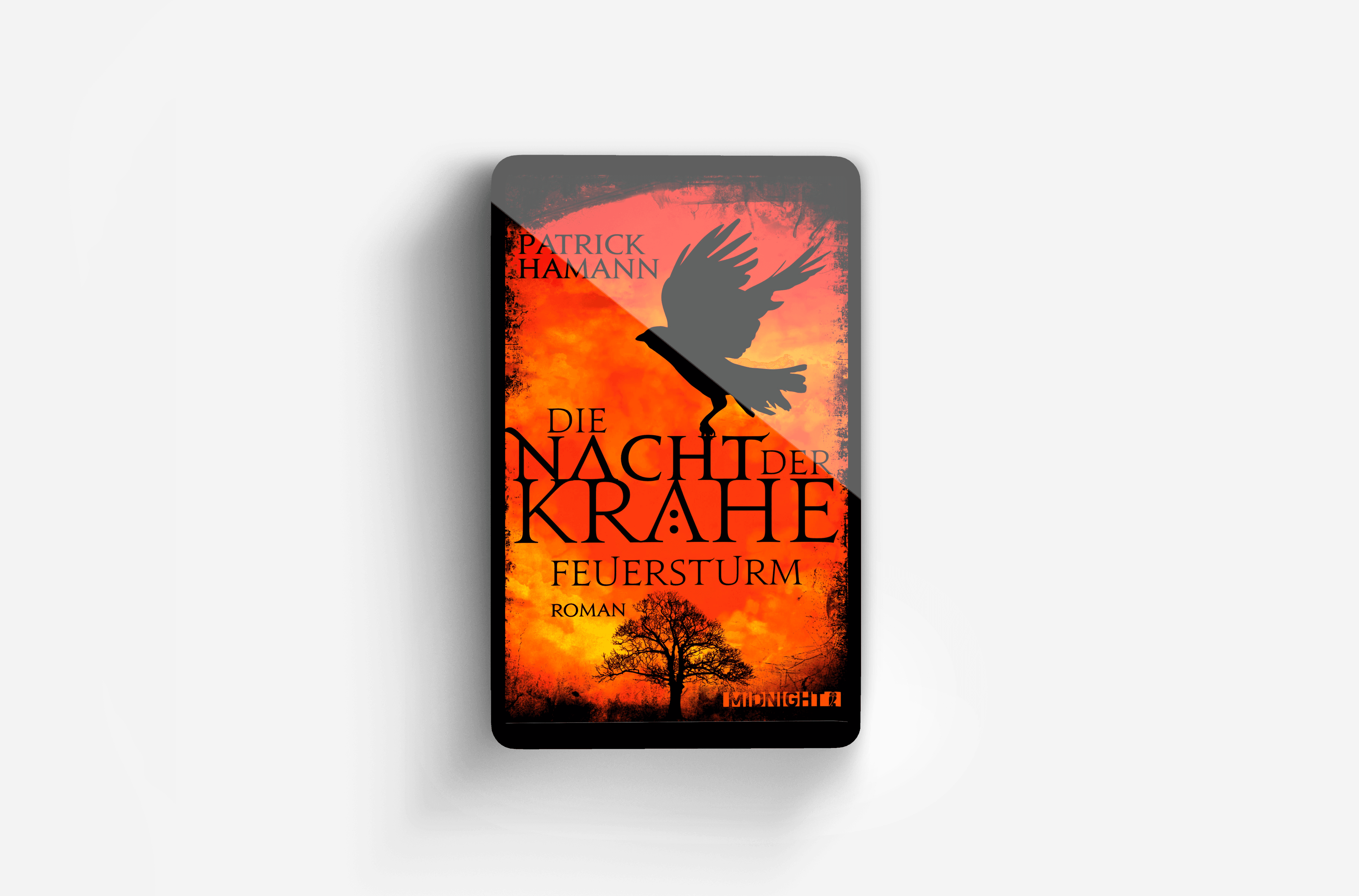 Buchcover von Die Nacht der Krähe – Feuersturm ("Die Nacht der Krähe" 2)