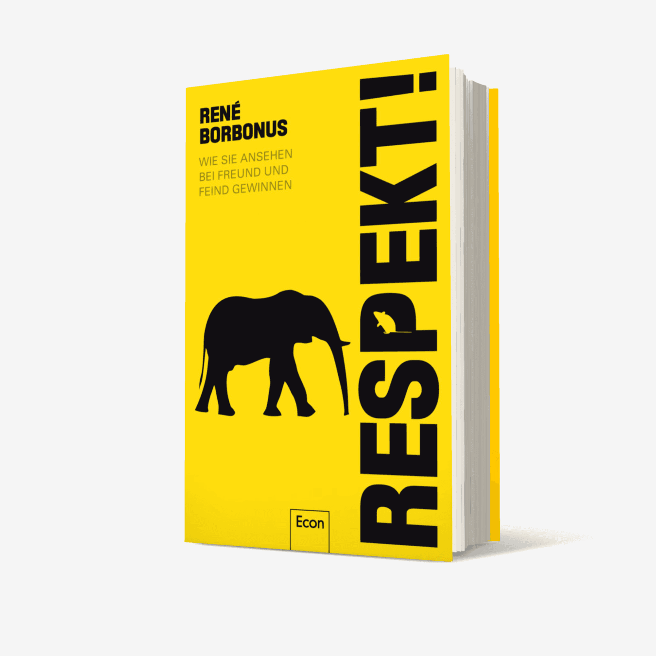 Buchcover von Respekt!