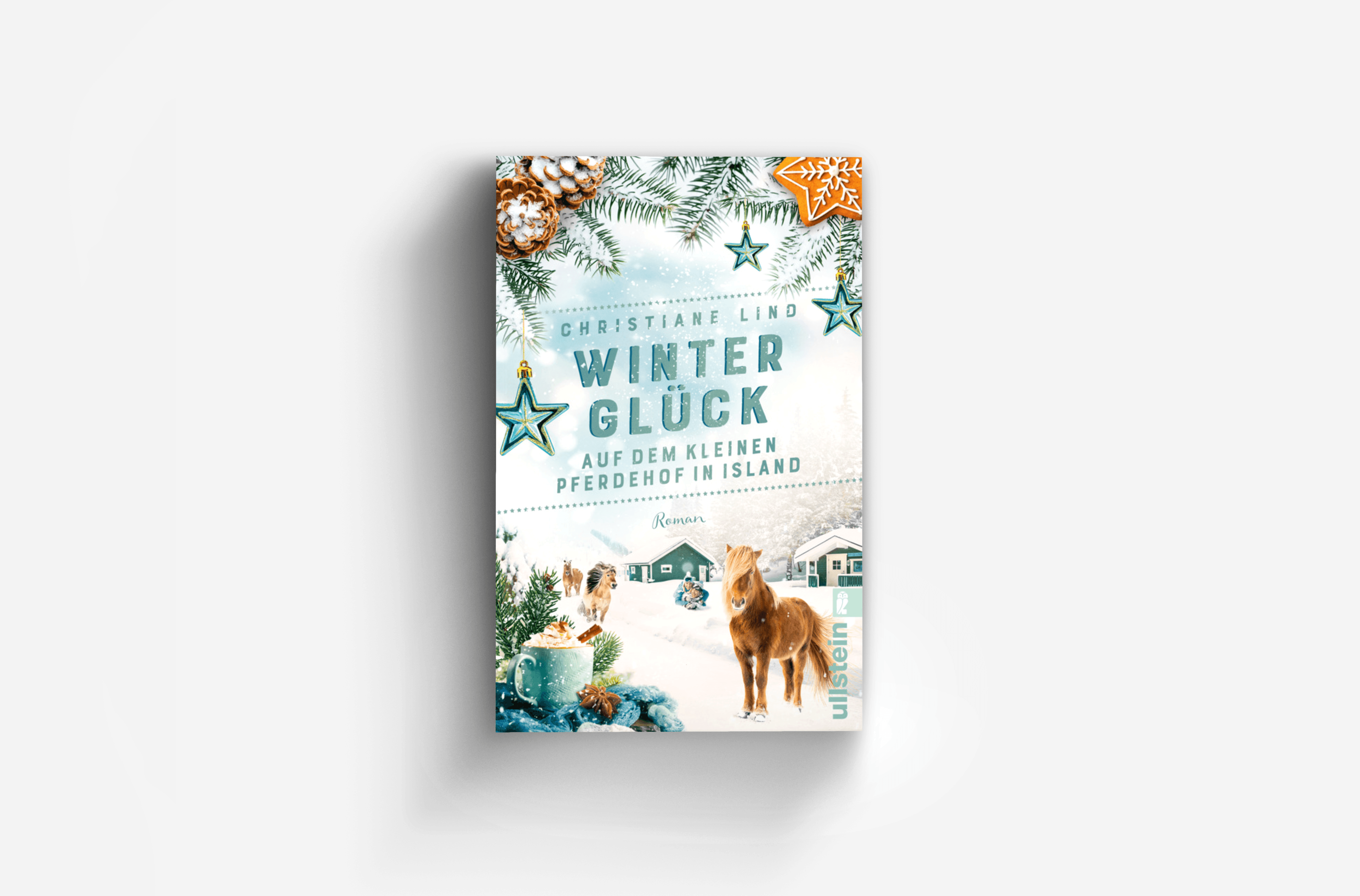 Buchcover von Winterglück auf dem kleinen Pferdehof in Island