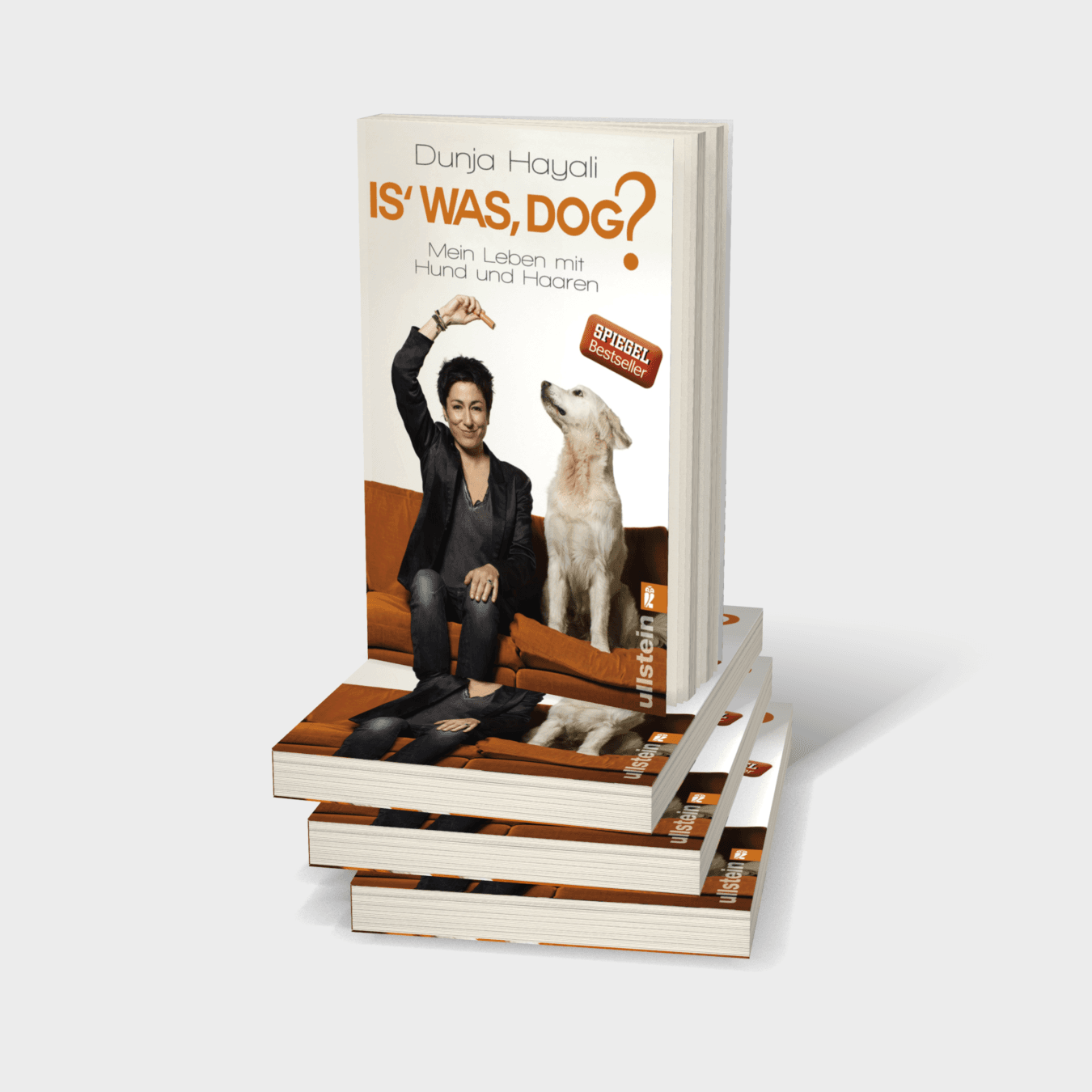 Buchcover von Is was, Dog?