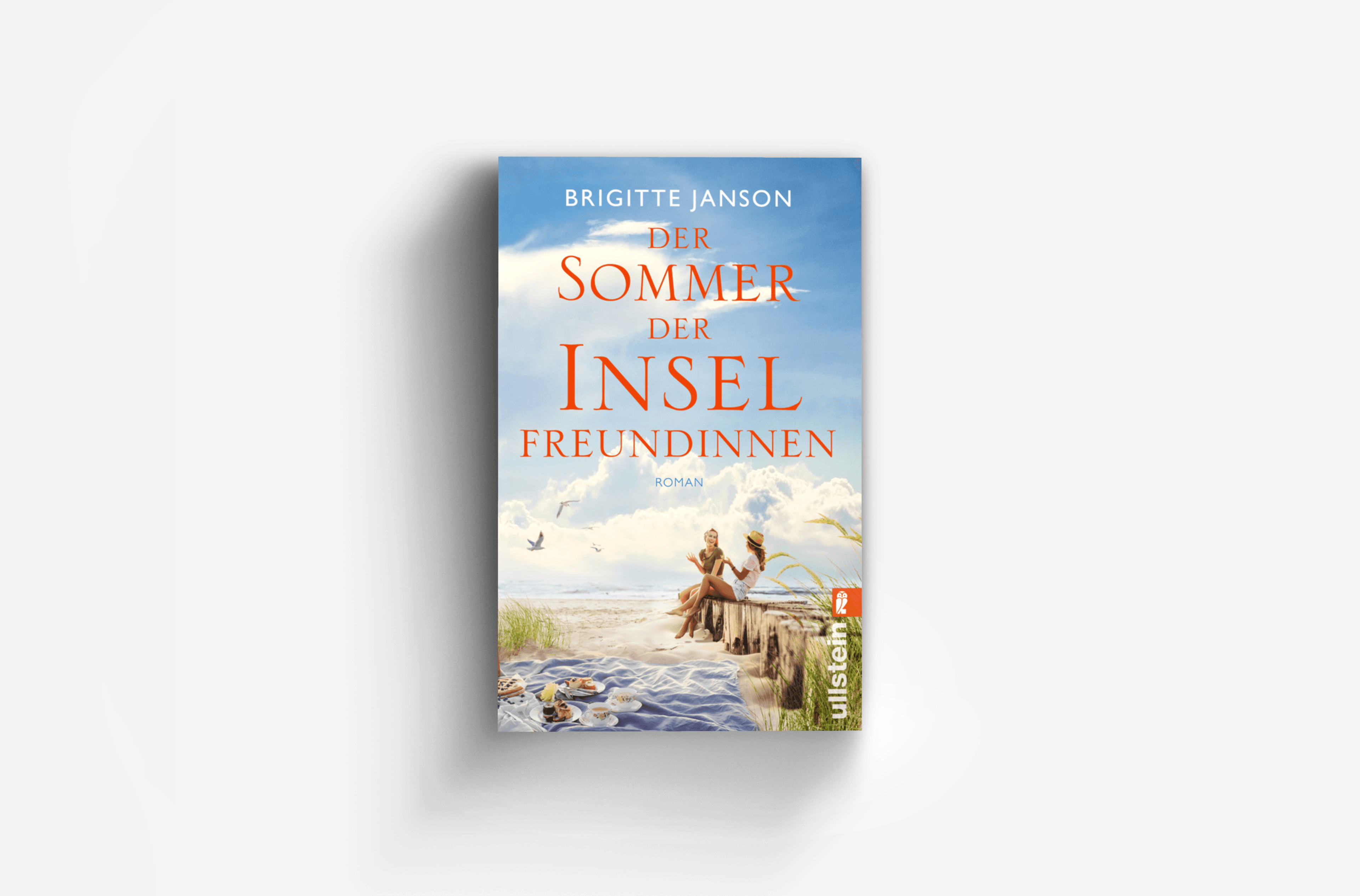Buchcover von Der Sommer der Inselfreundinnen