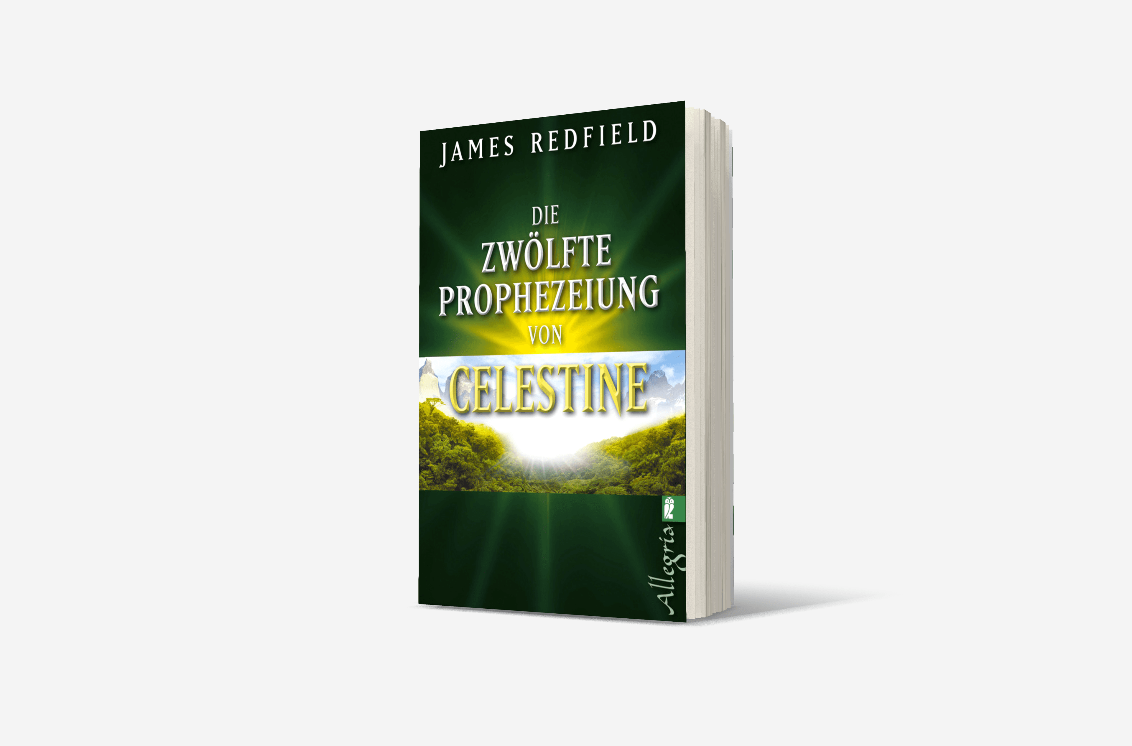 Buchcover von Die zwölfte Prophezeiung von Celestine (Die Prophezeiungen von Celestine 4)
