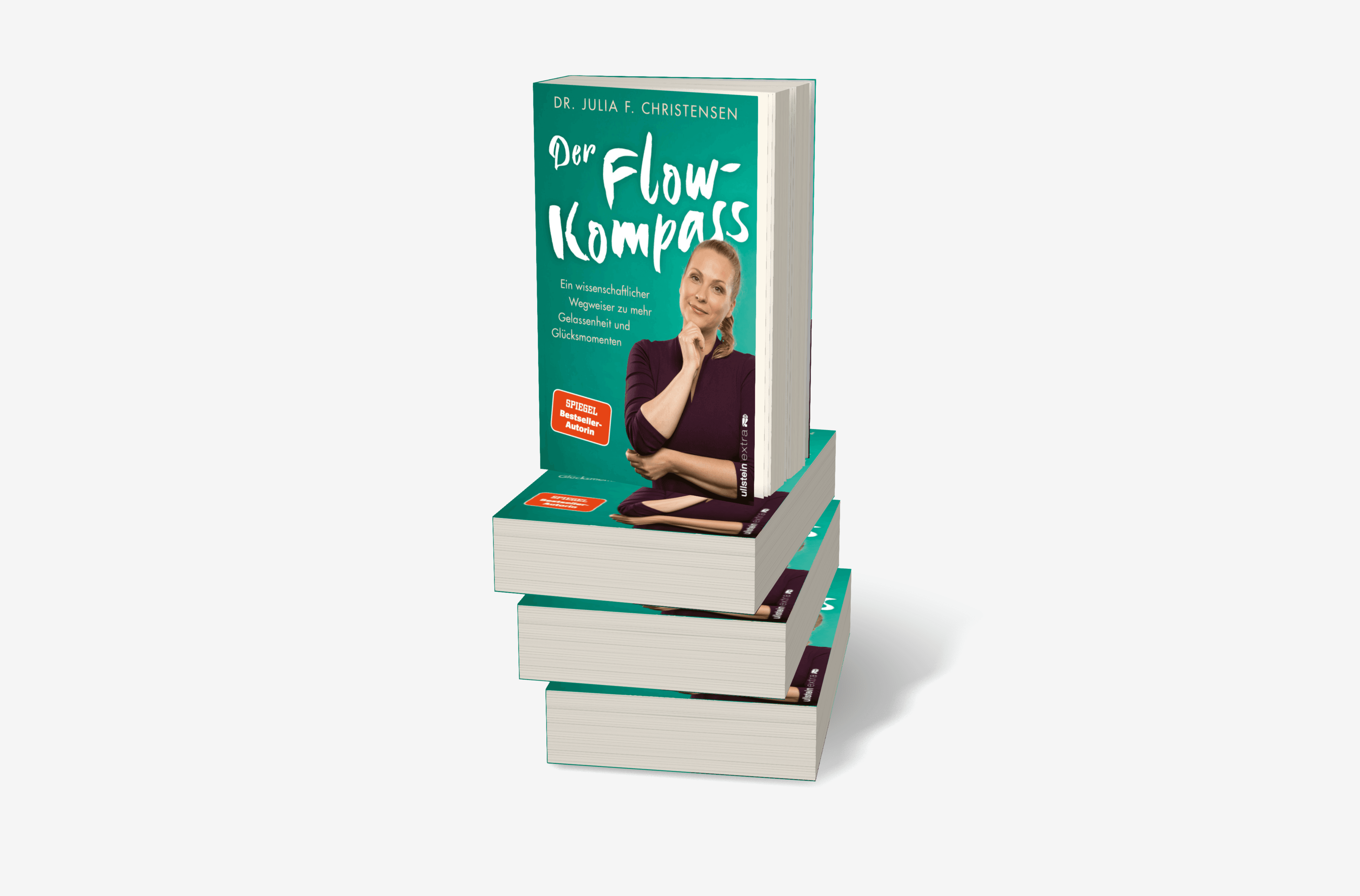 Buchcover von Der Flow-Kompass