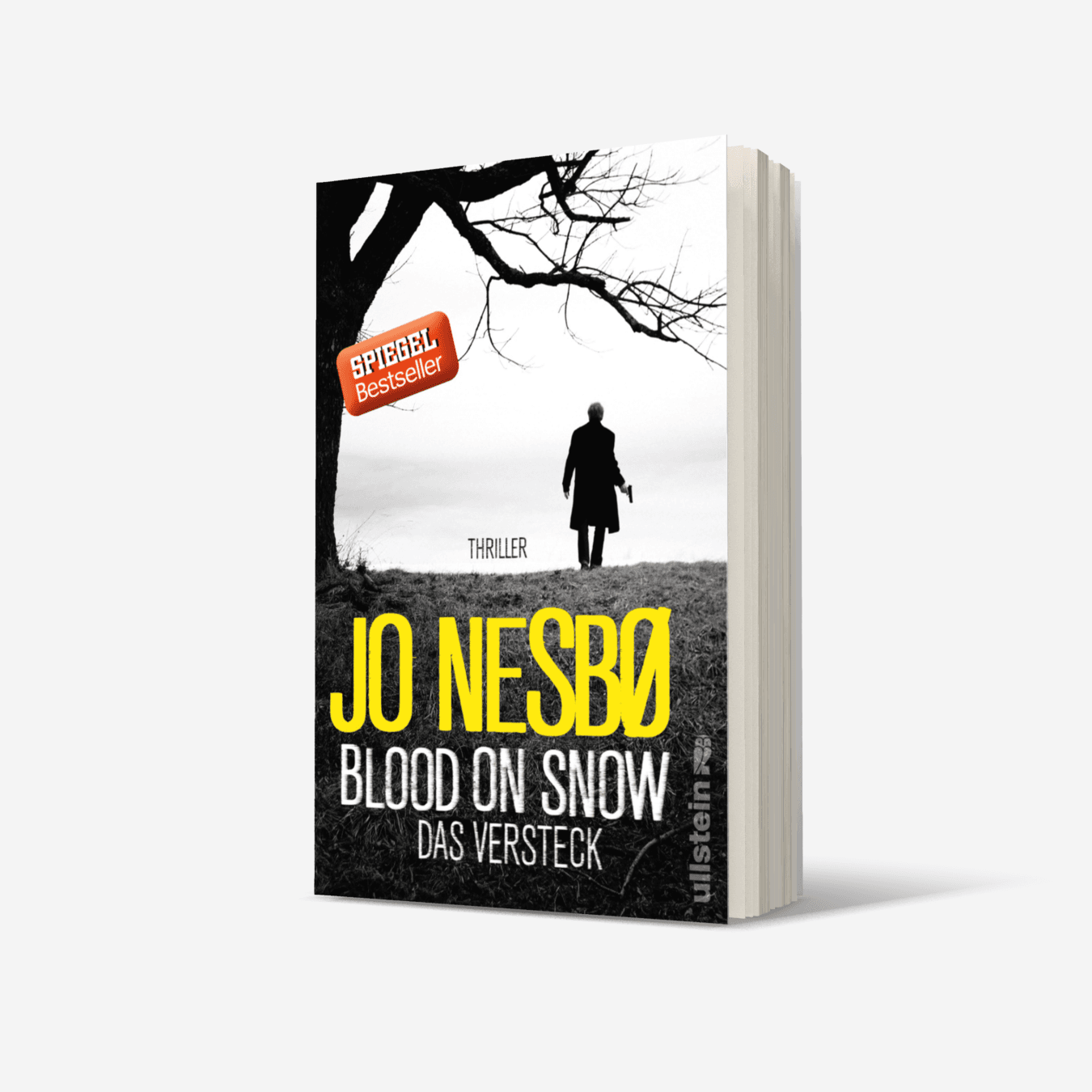 Buchcover von Blood on Snow. Das Versteck (Blood on Snow 2)