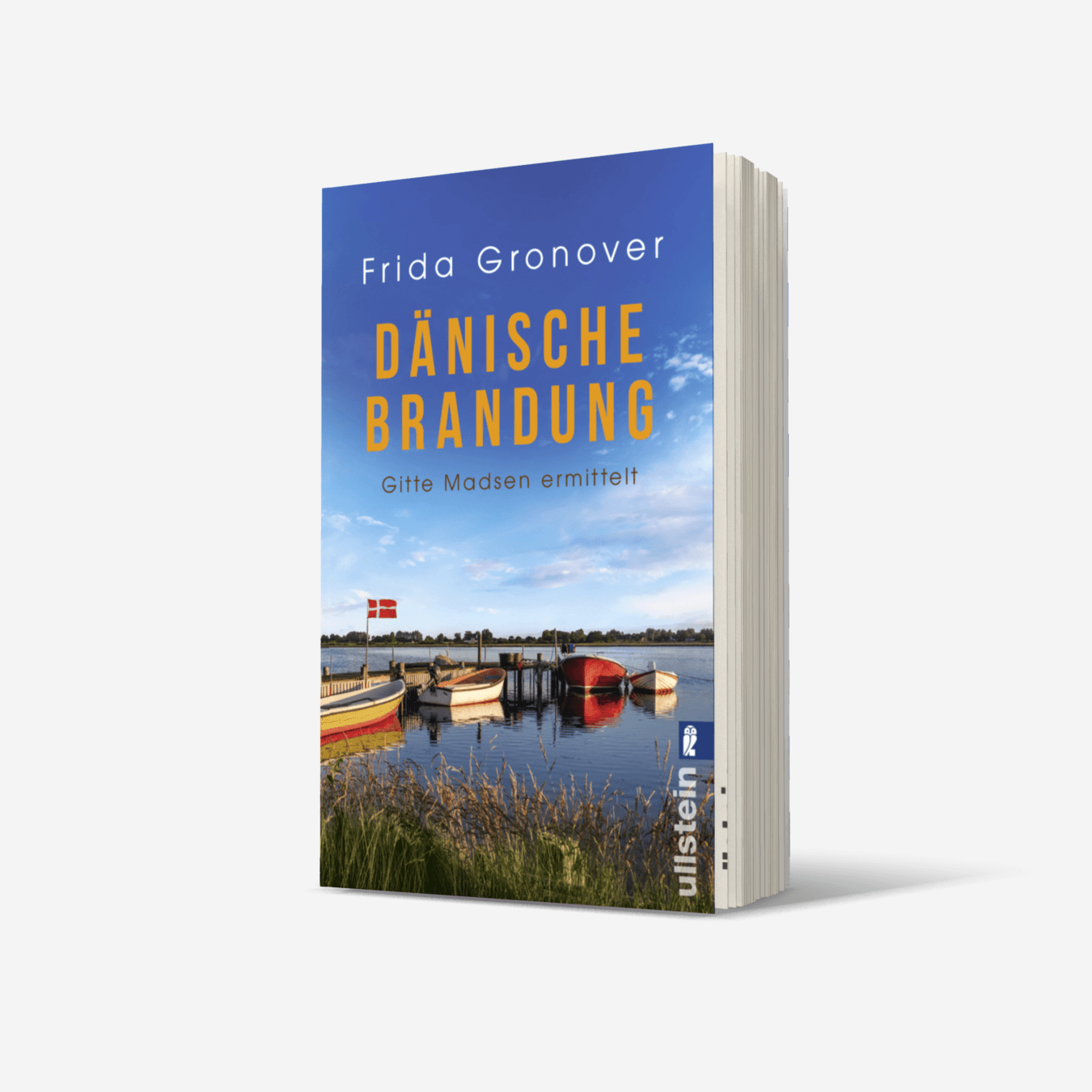 Buchcover von Dänische Brandung (Ein Gitte-Madsen-Krimi 4)
