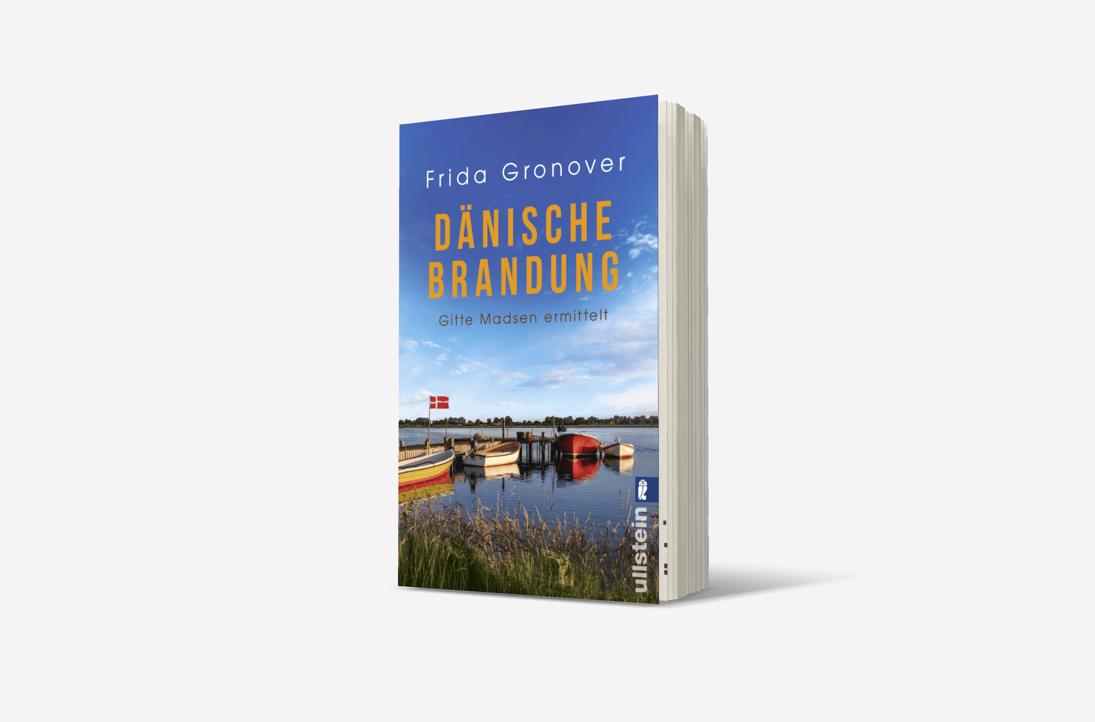 Buchcover von Dänische Brandung (Ein Gitte-Madsen-Krimi 4)