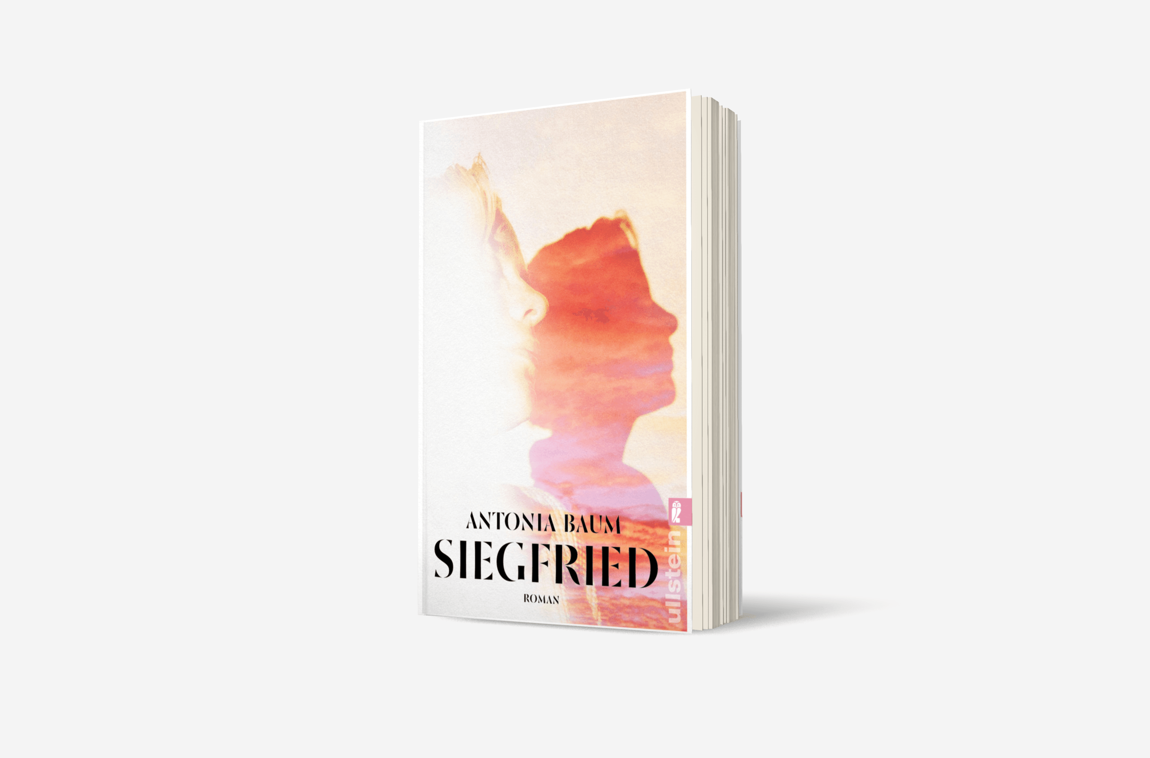 Buchcover von Siegfried