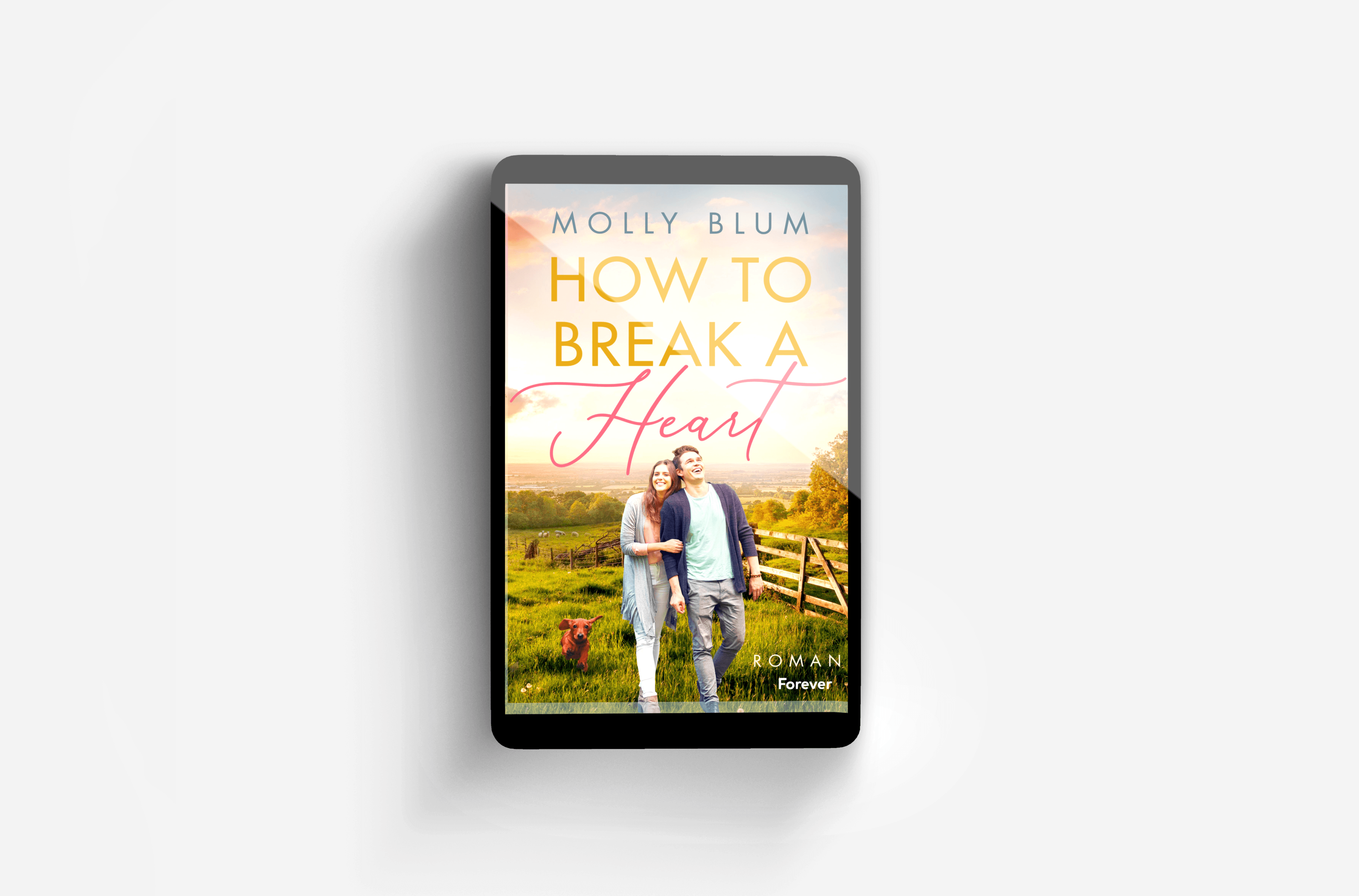 Buchcover von How to break a heart