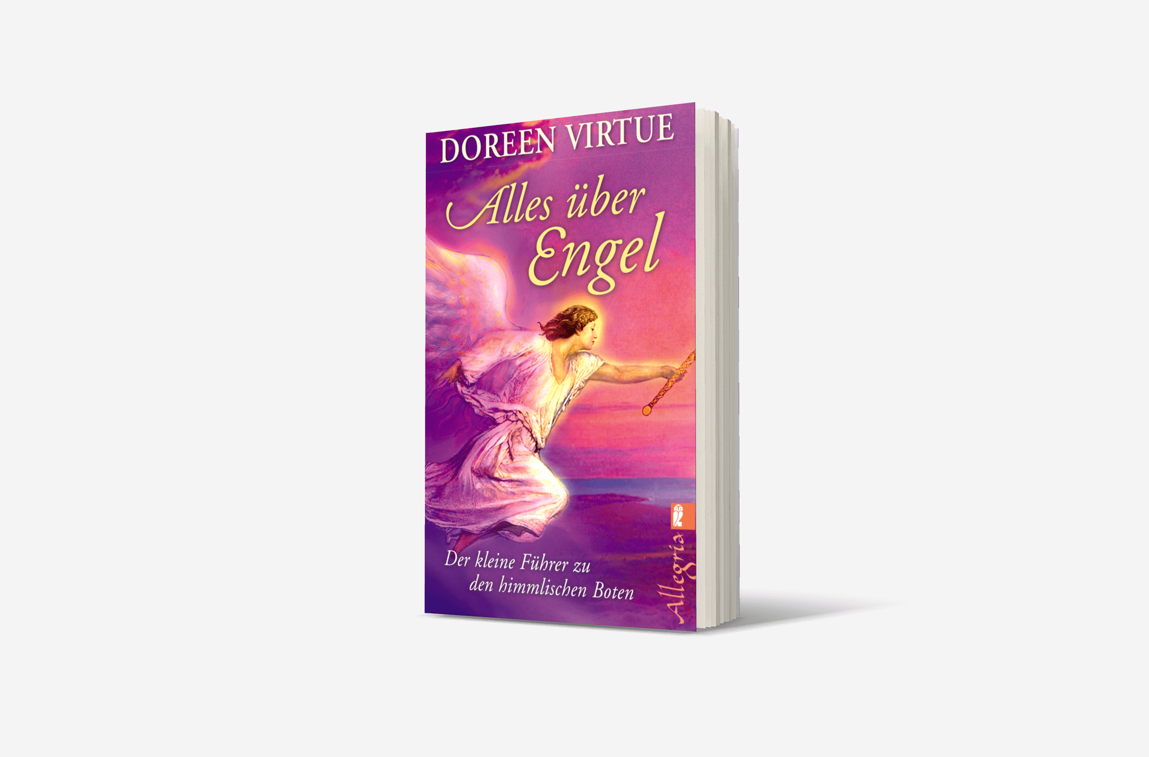 Buchcover von Alles über Engel
