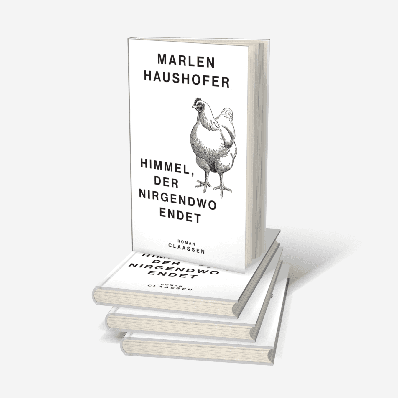Buchcover von Himmel, der nirgendwo endet (Marlen Haushofer: Die gesammelten Romane und Erzählungen 4)