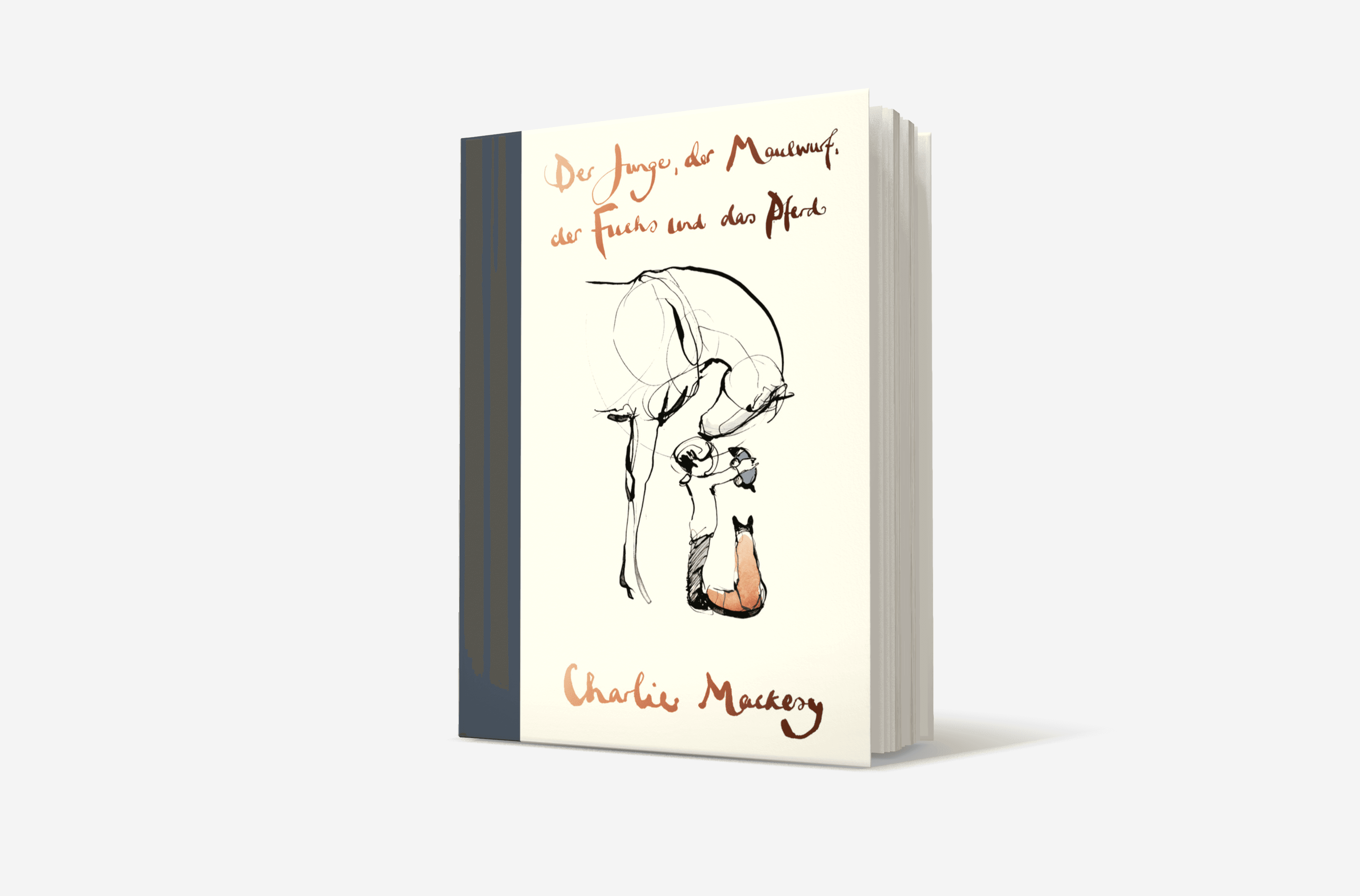 Buchcover von Der Junge, der Maulwurf, der Fuchs und das Pferd
