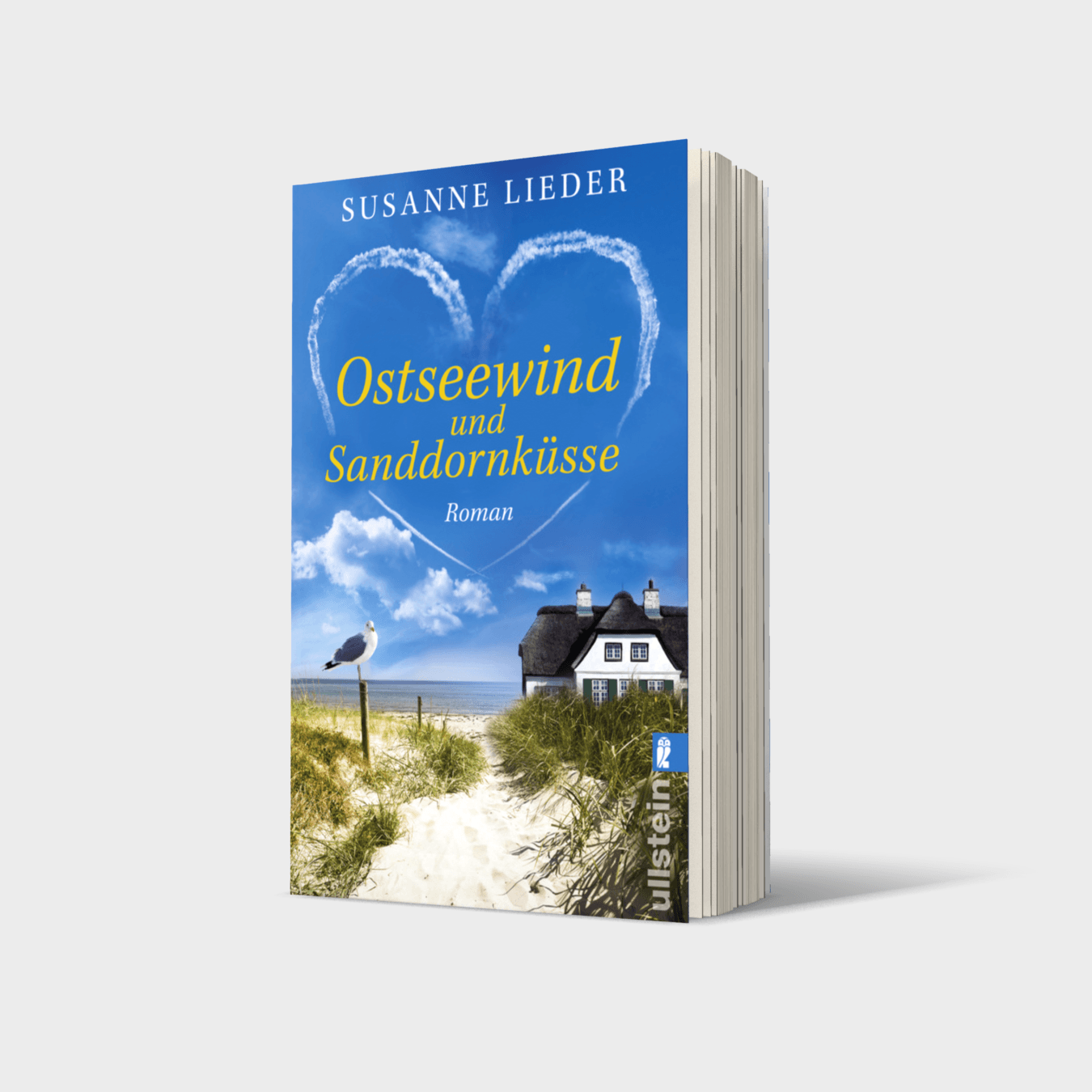 Buchcover von Ostseewind und Sanddornküsse