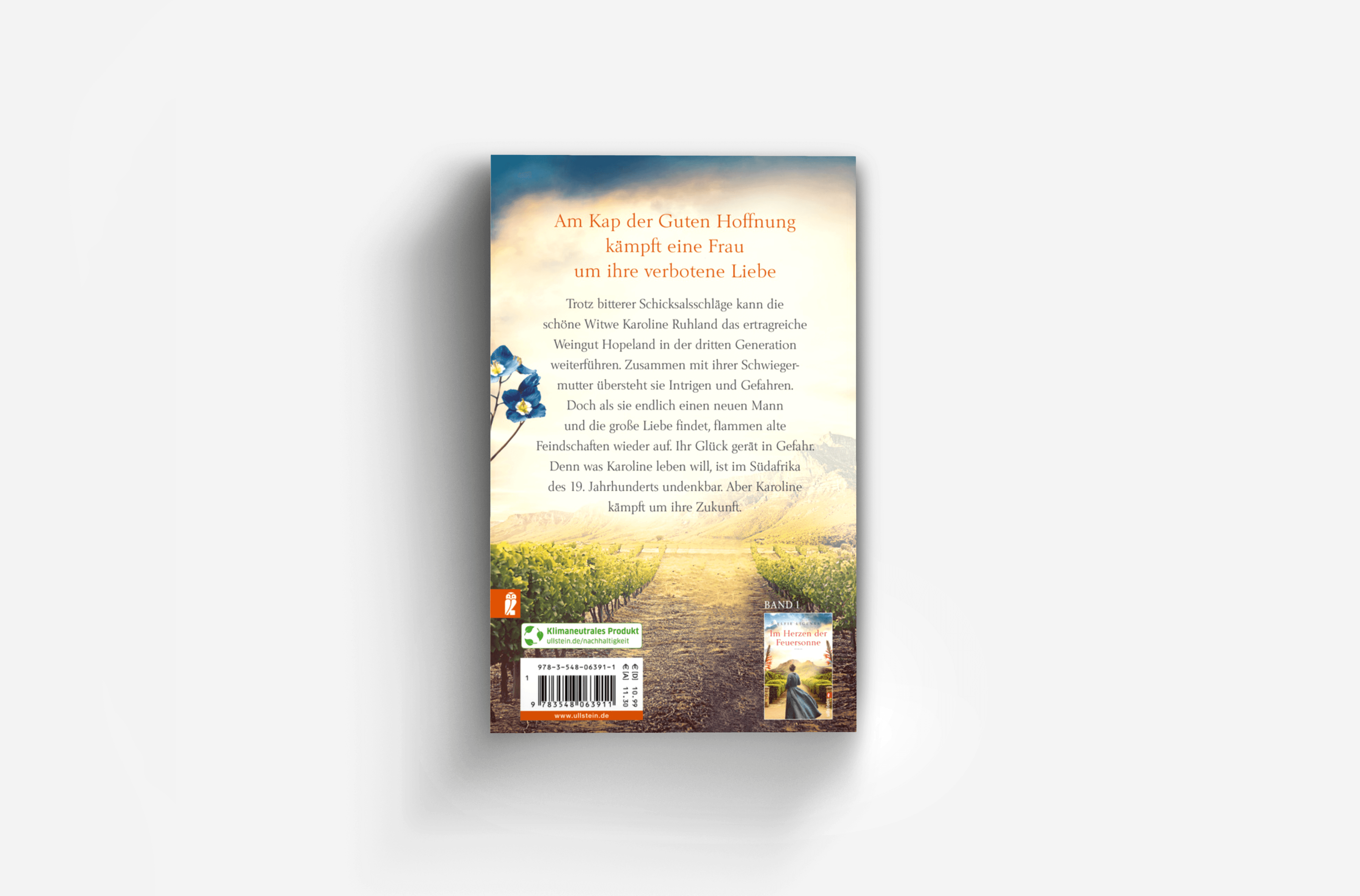 Buchcover von Das Paradies liegt in Afrika (Ein Südafrika-Roman 2)