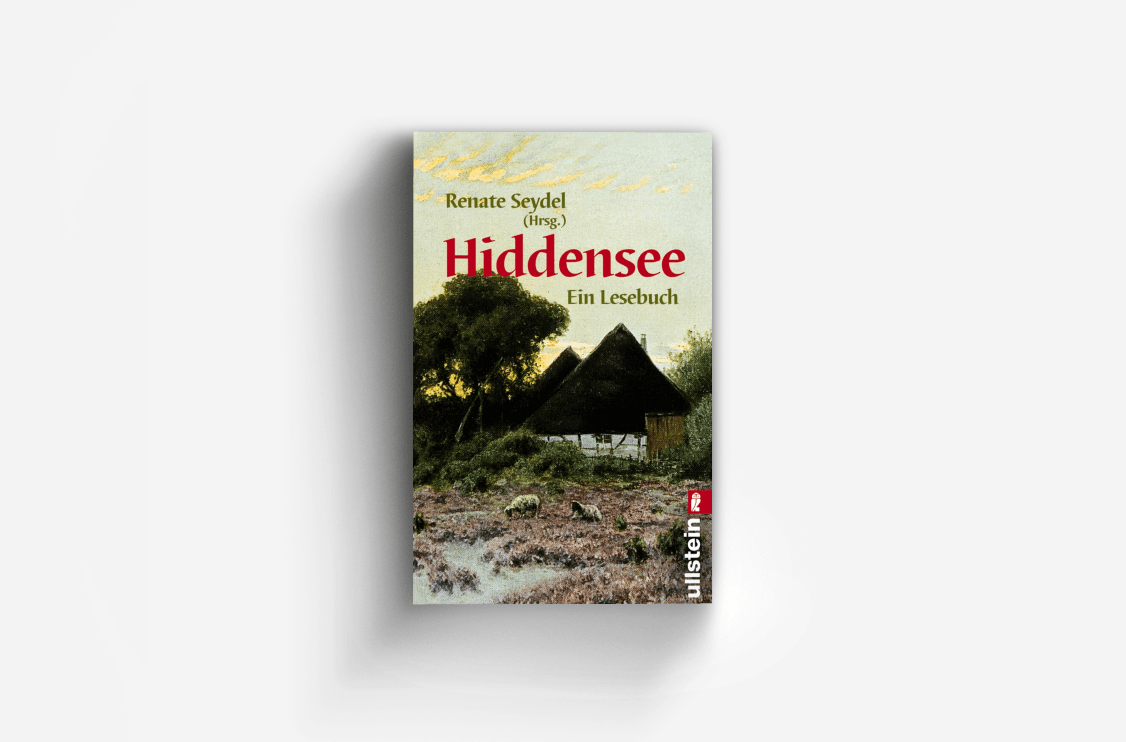 Buchcover von Hiddensee Lesebuch