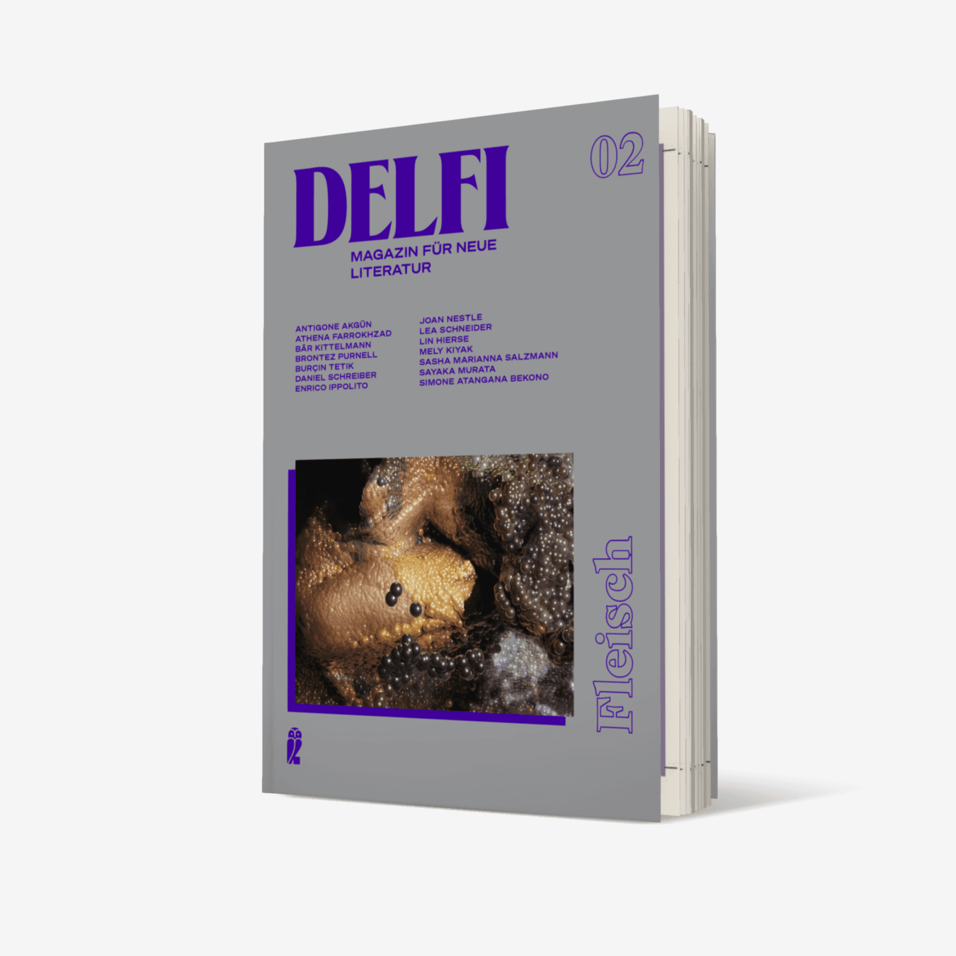 Buchcover von Delfi Fleisch (Delfi 2)