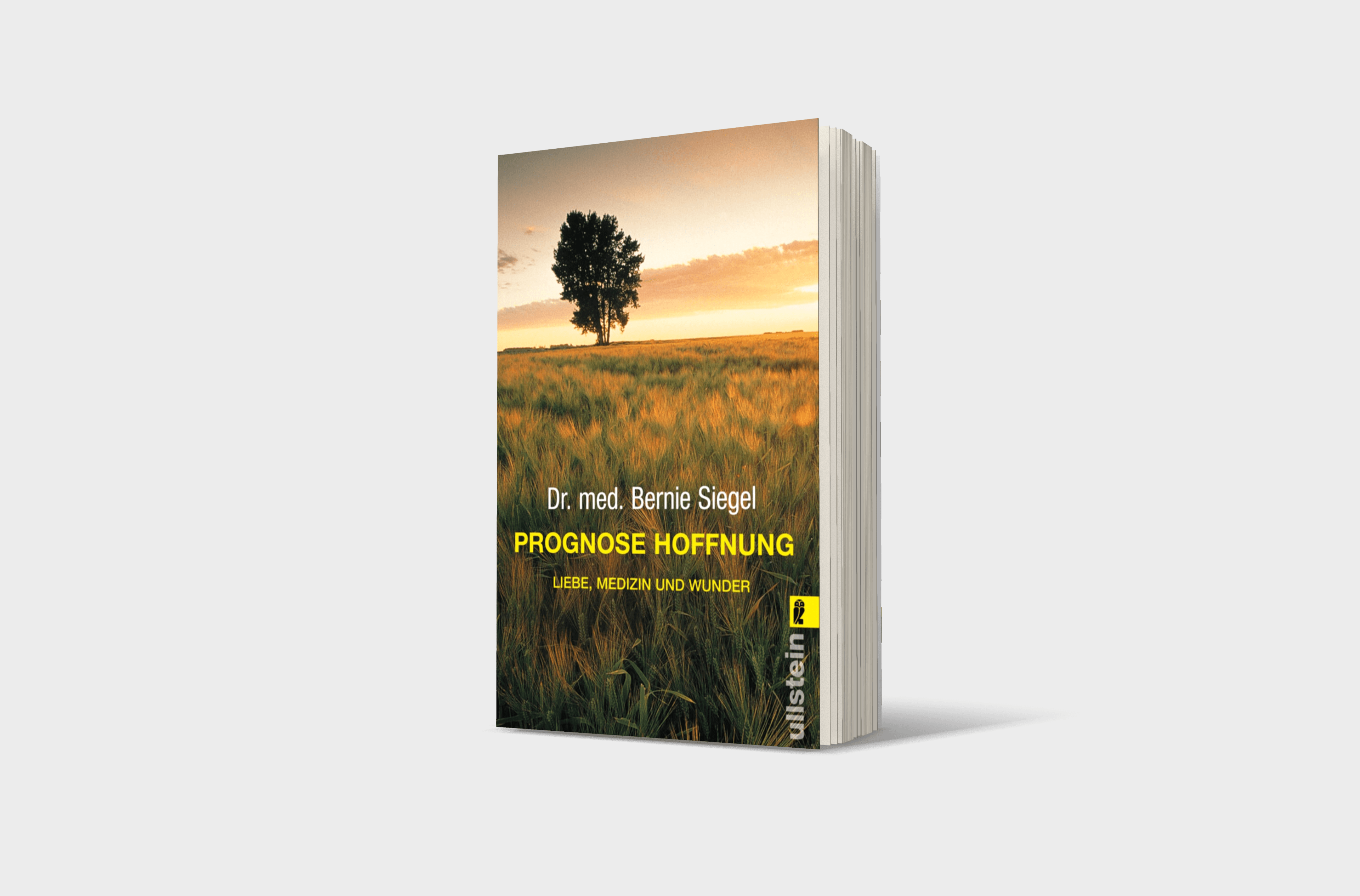 Buchcover von Prognose Hoffnung