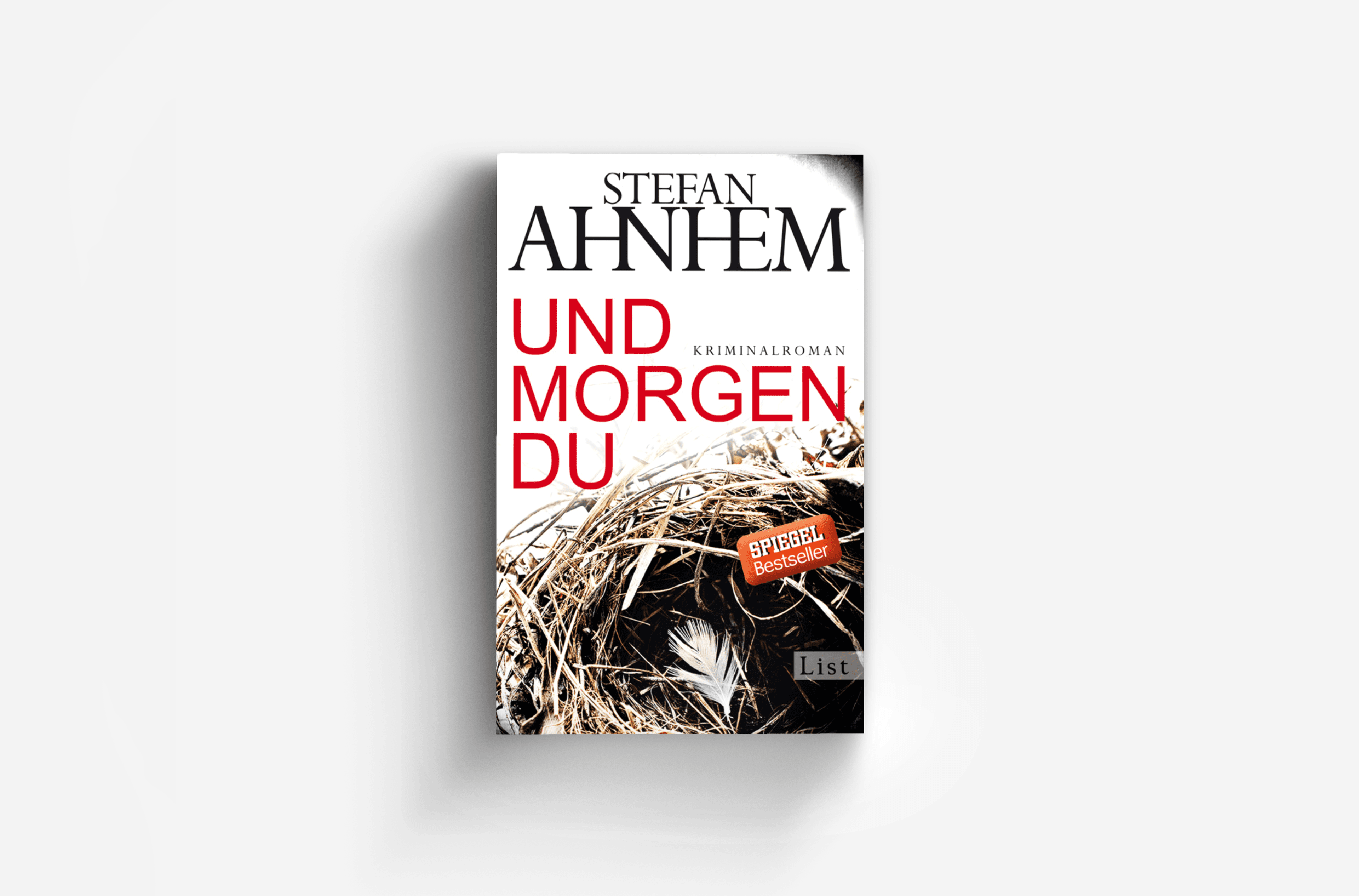 Buchcover von Und morgen du (Ein Fabian-Risk-Krimi 1)