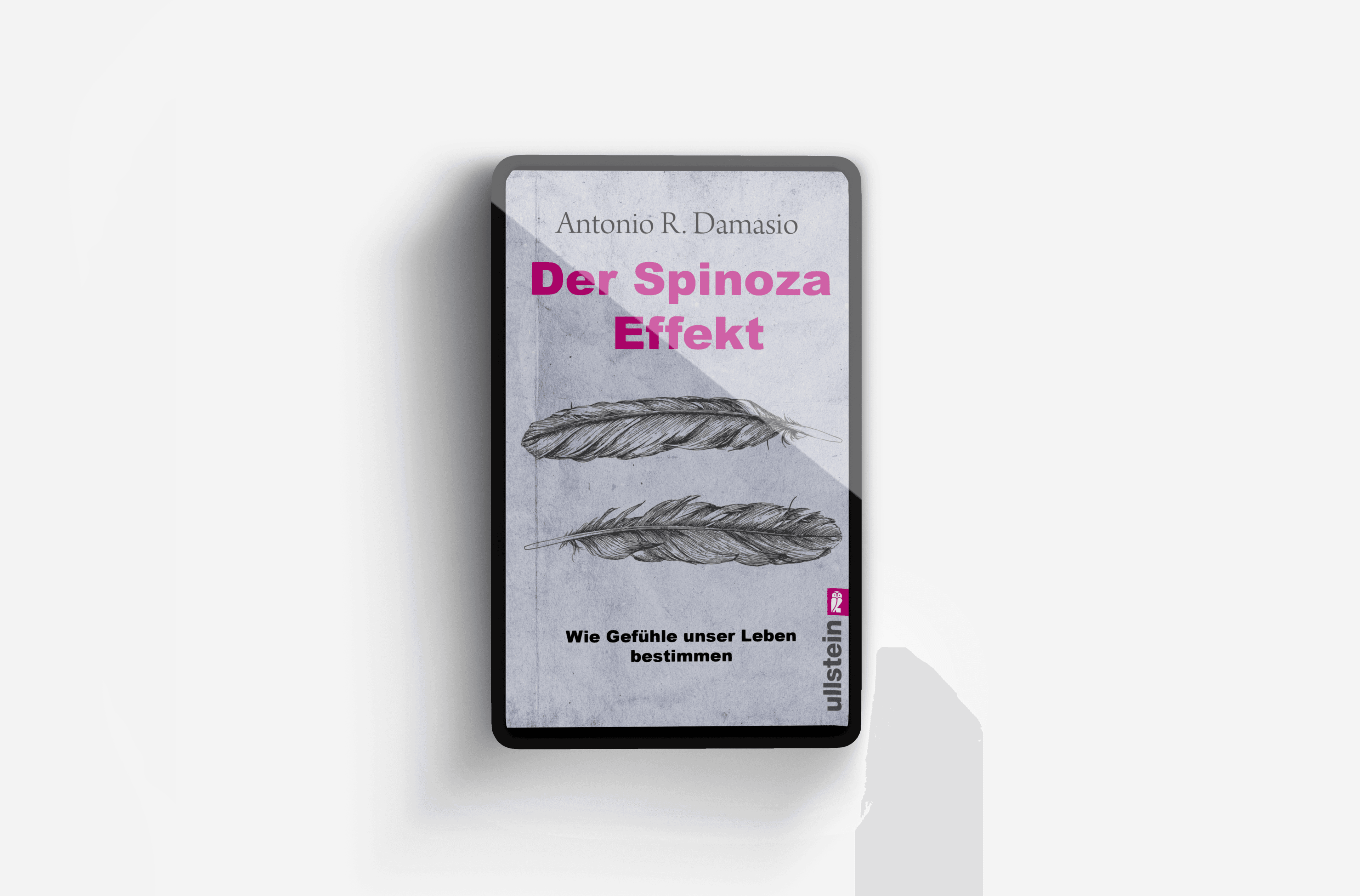 Buchcover von Der Spinoza-Effekt