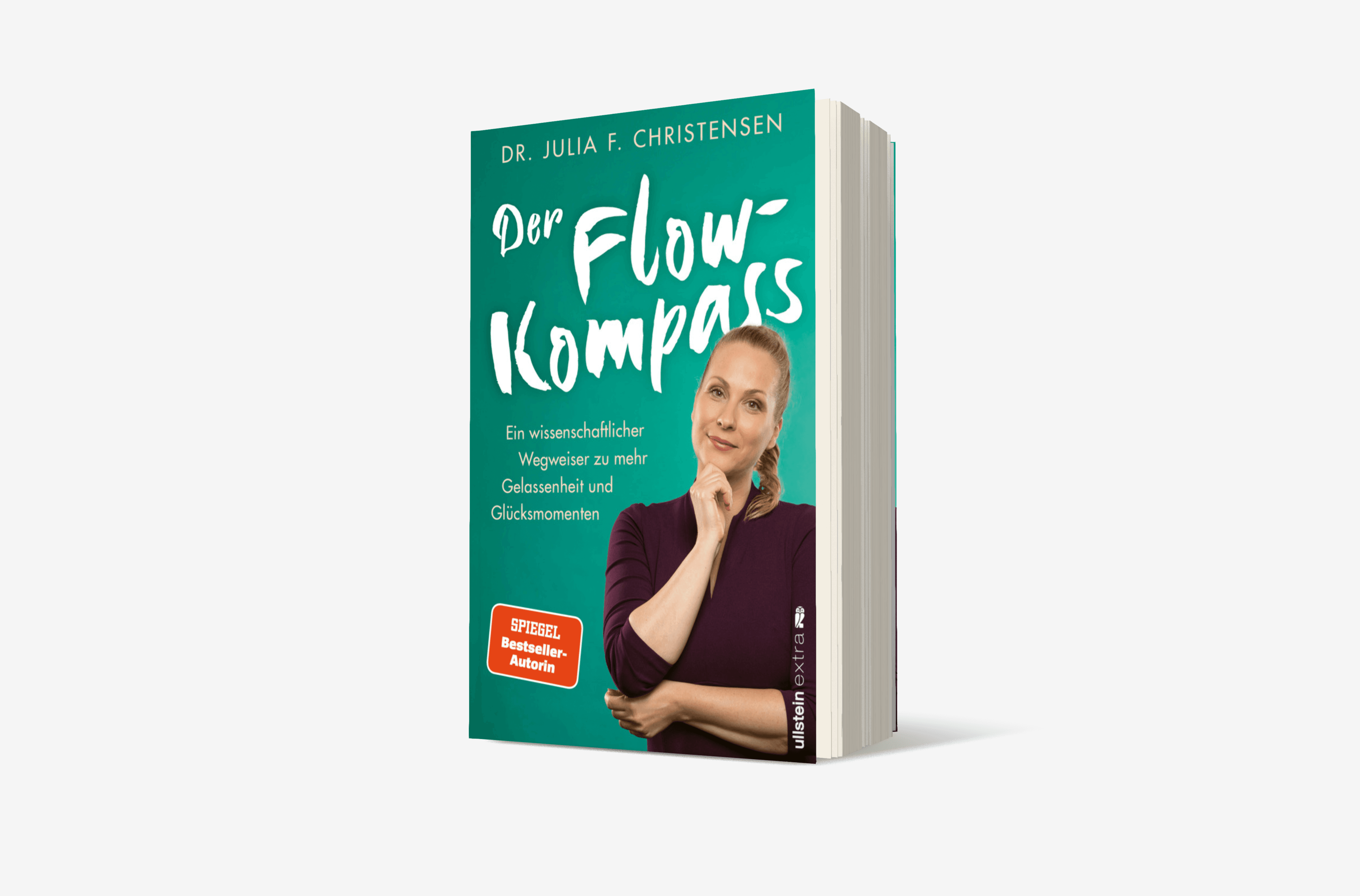 Buchcover von Der Flow-Kompass