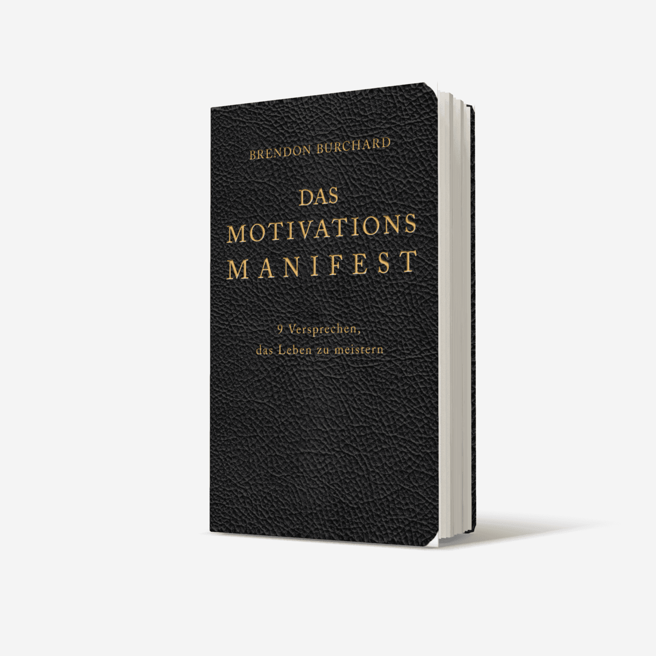 Buchcover von Das MotivationsManifest
