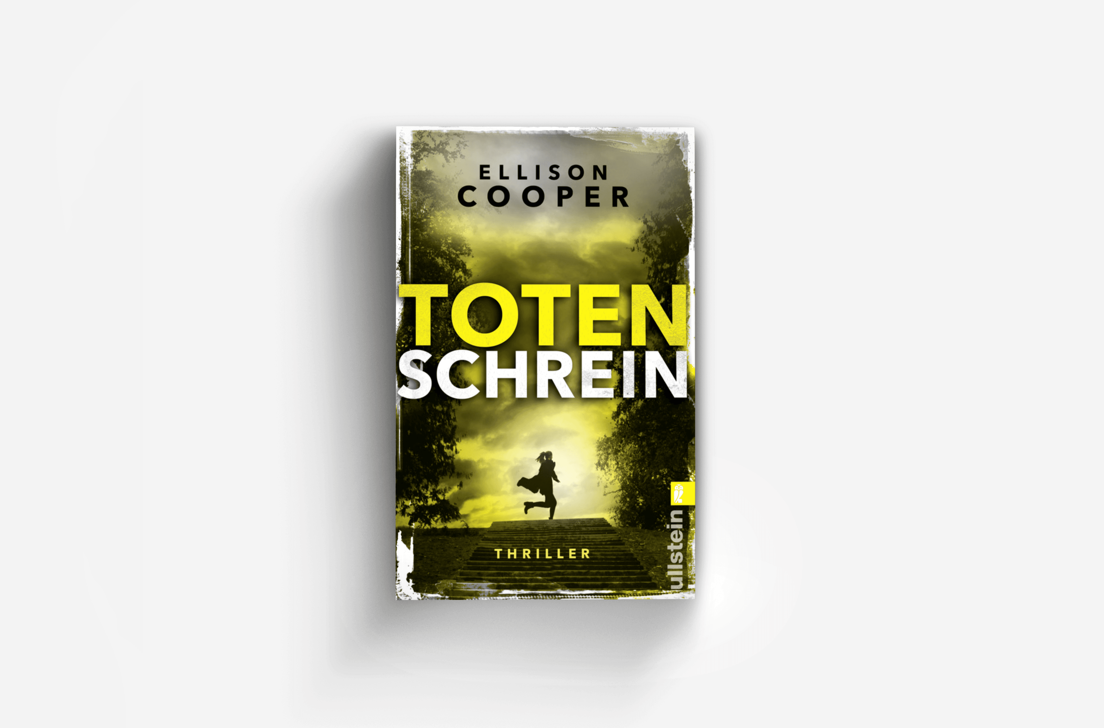 Buchcover von Totenschrein (Ein Sayer-Altair-Thriller 3)