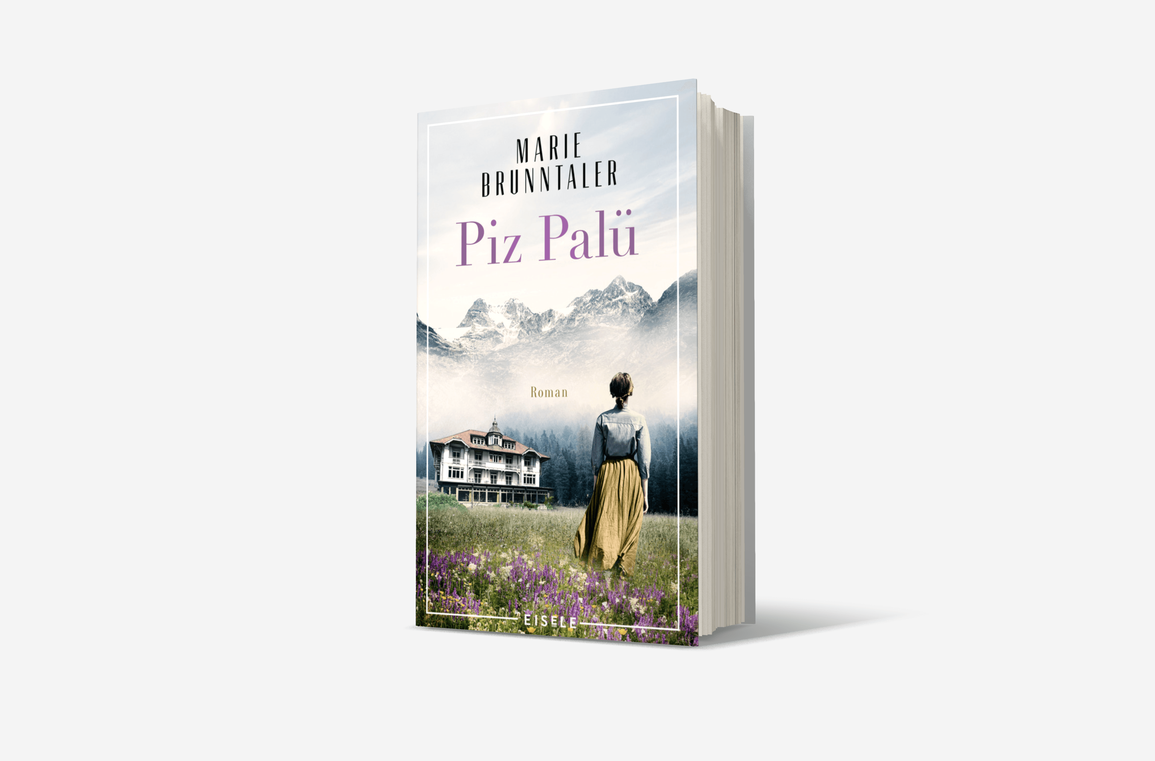 Buchcover von Piz Palü