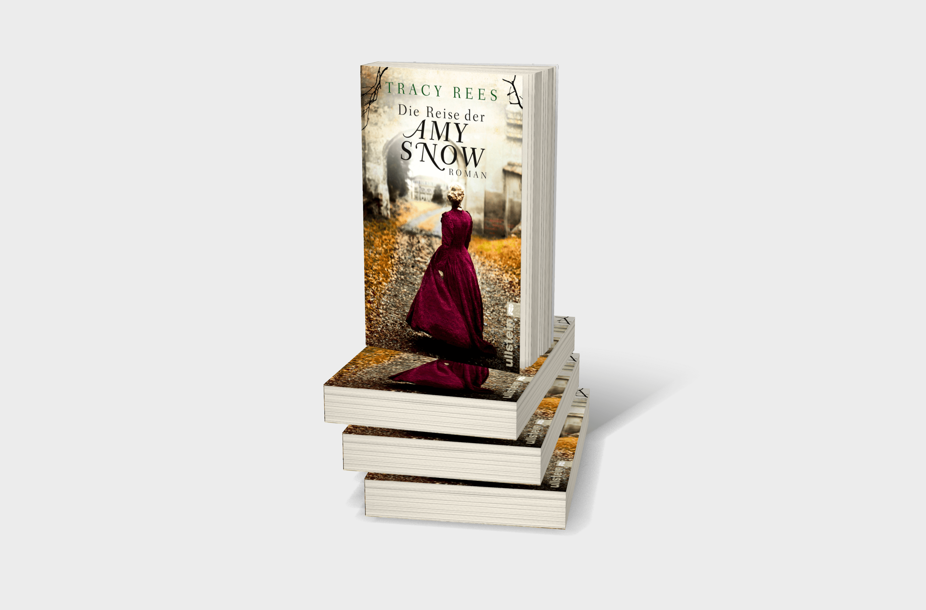 Buchcover von Die Reise der Amy Snow