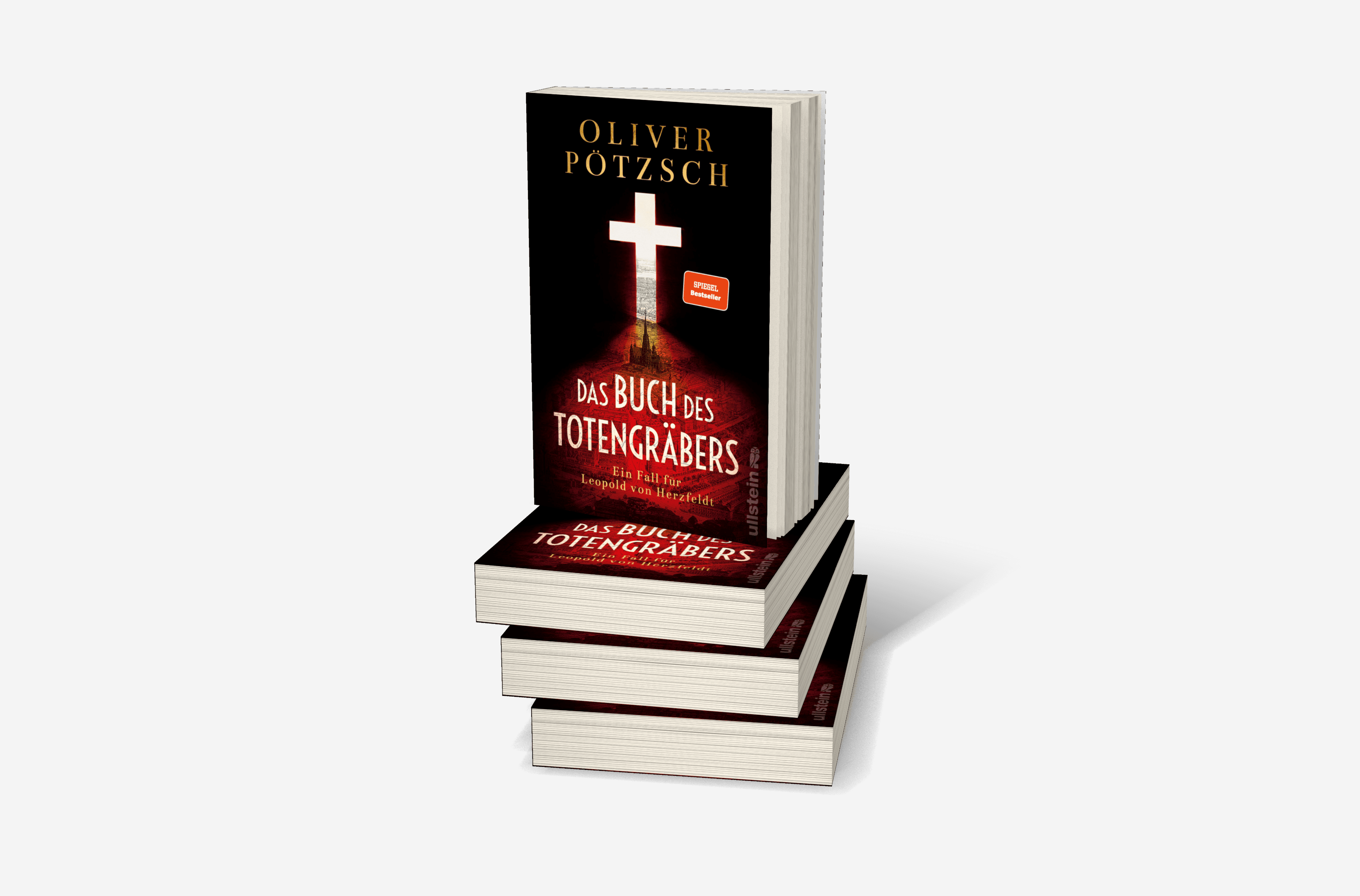 Buchcover von Das Buch des Totengräbers (Die Totengräber-Serie 1)