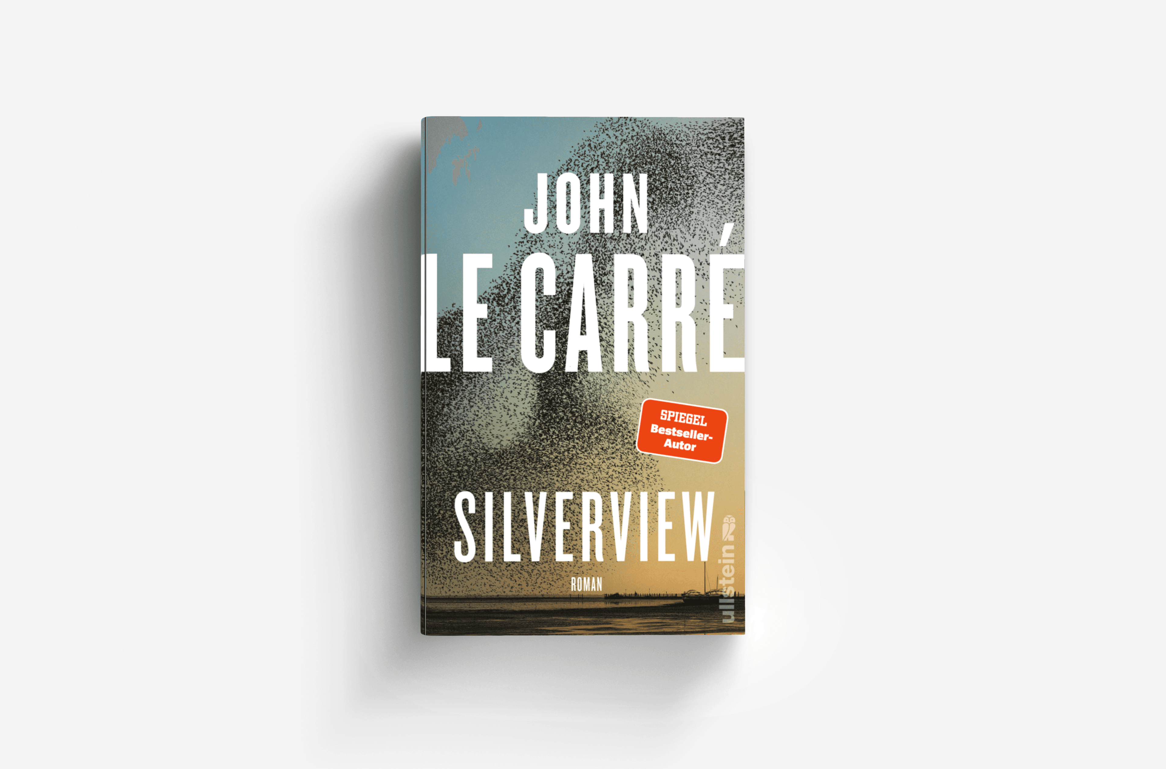 Buchcover von Silverview