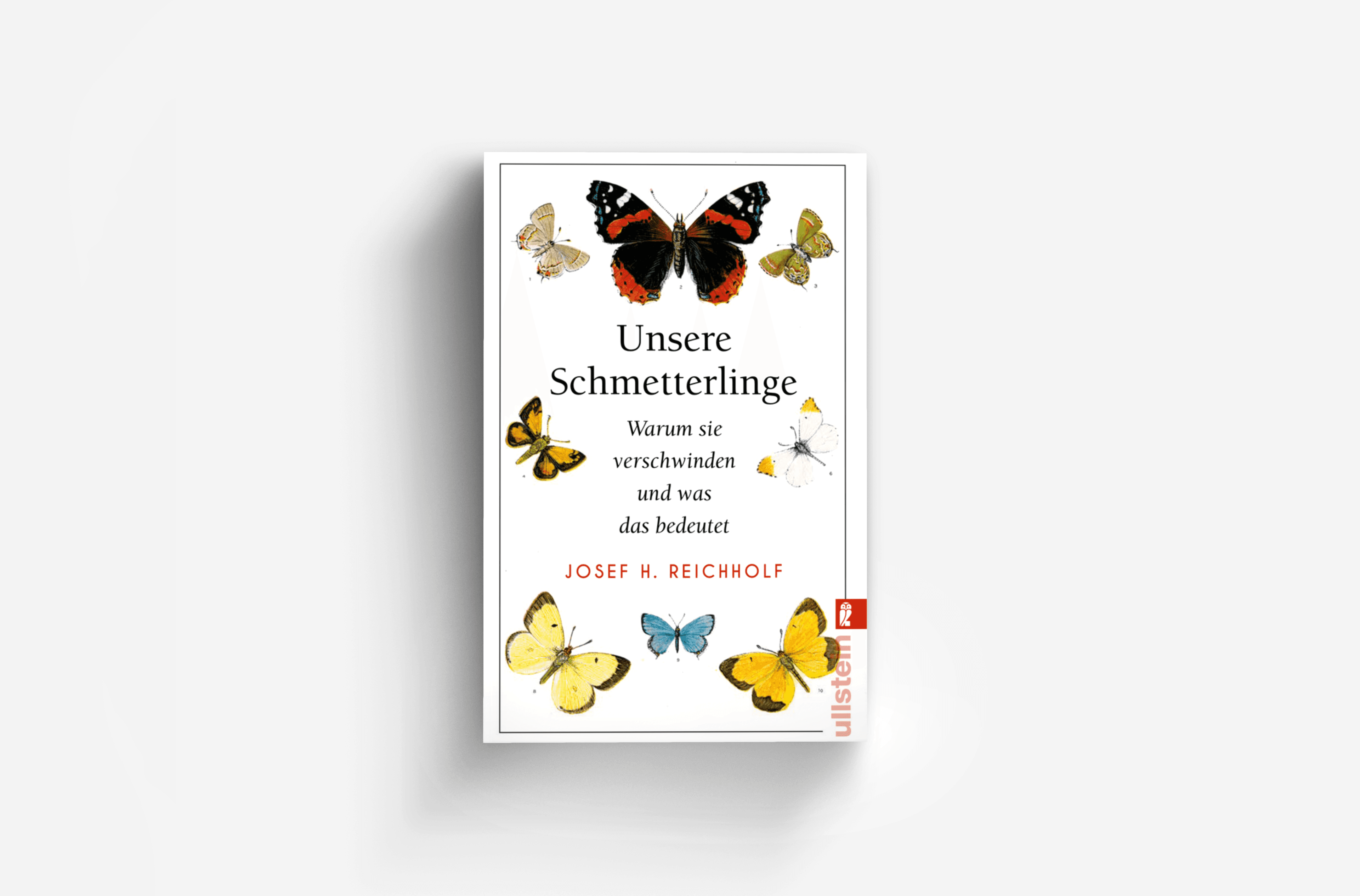 Buchcover von Unsere Schmetterlinge