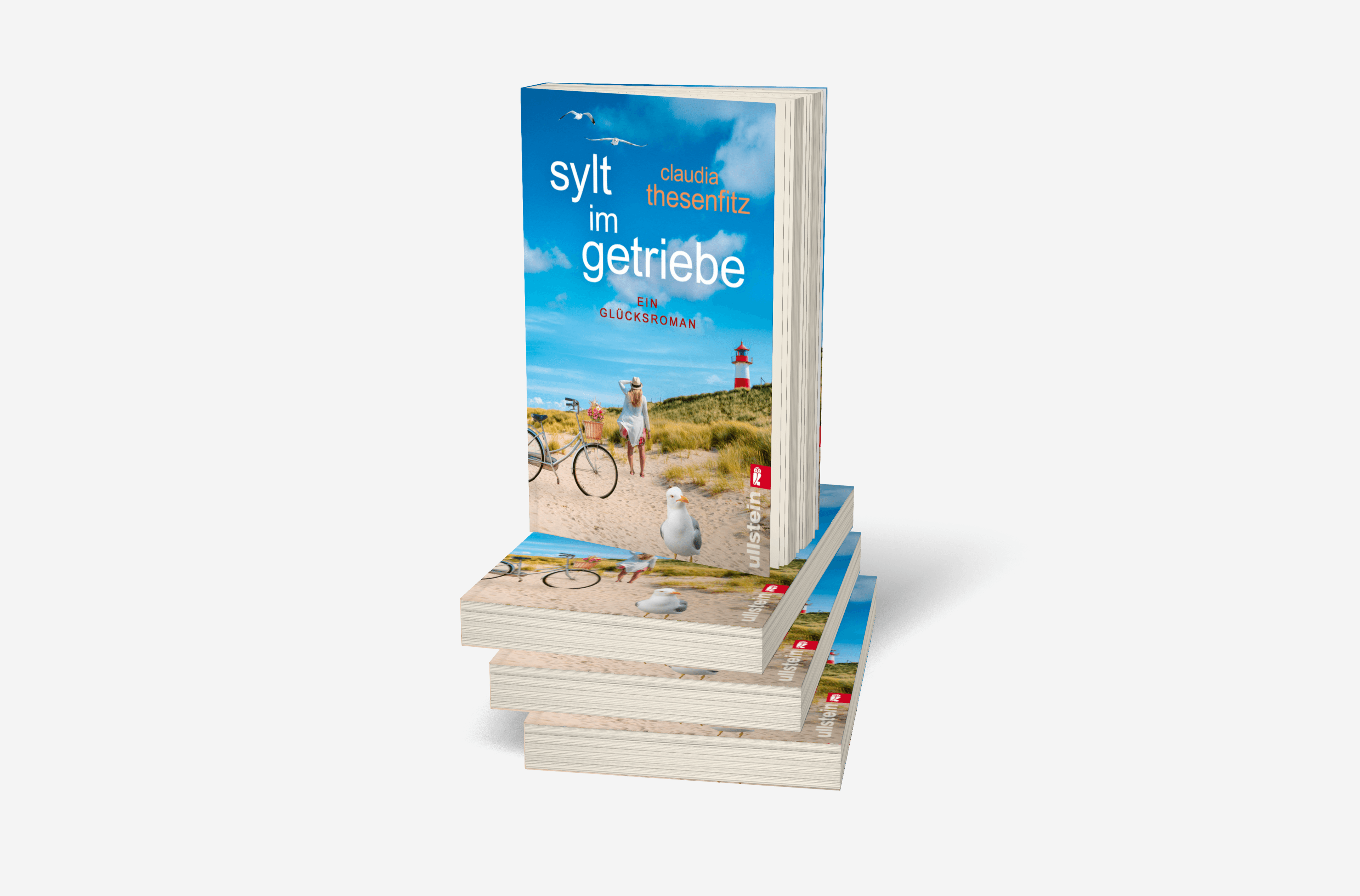 Buchcover von Sylt im Getriebe