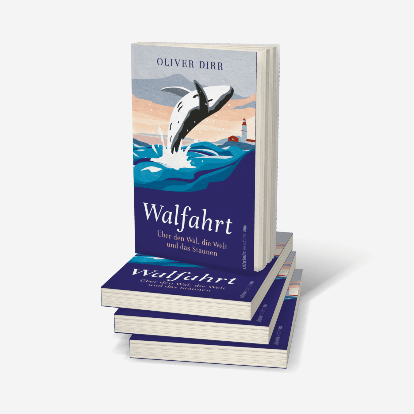 Buchcover von Walfahrt
