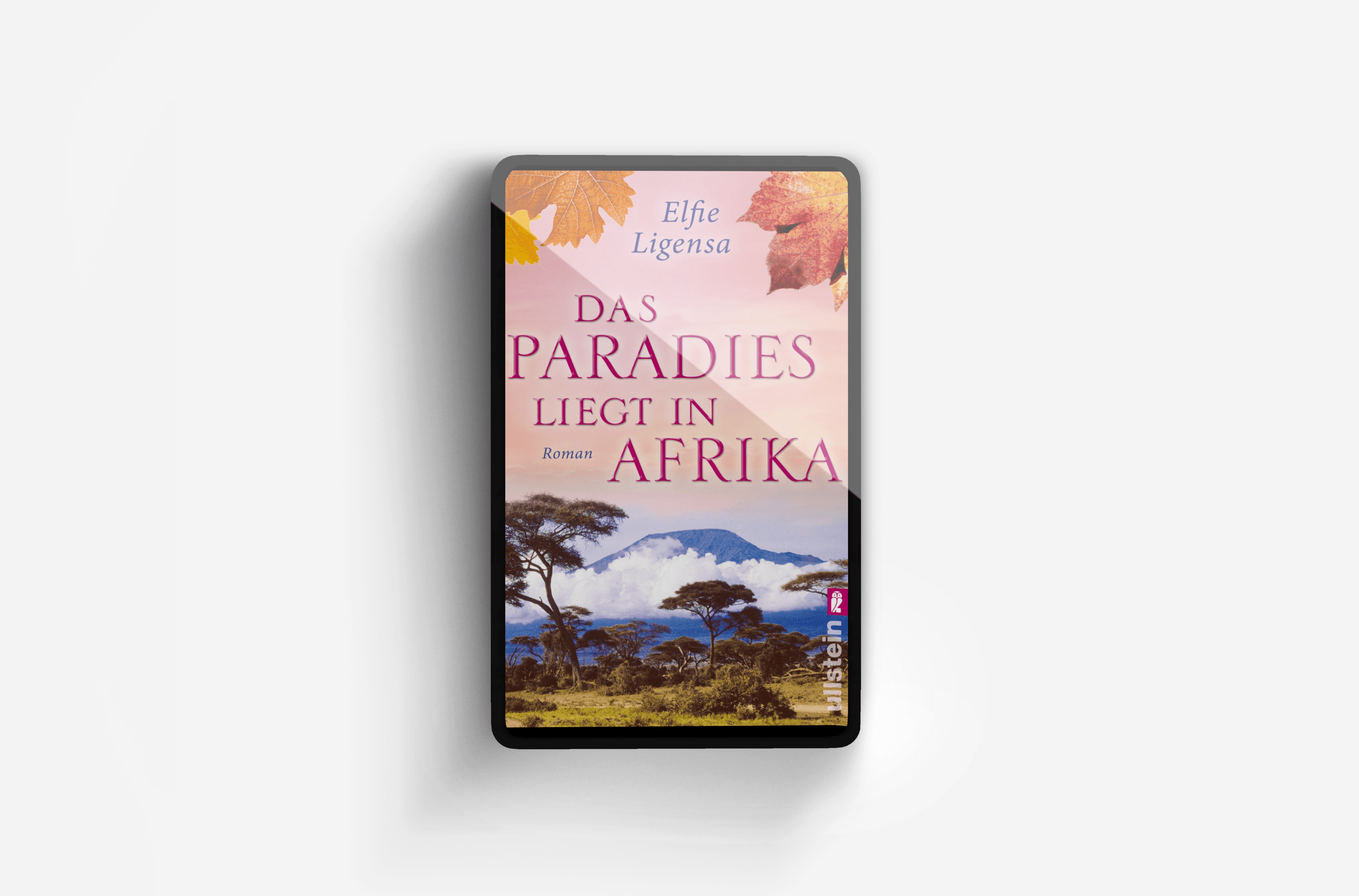 Buchcover von Das Paradies liegt in Afrika (Ein Südafrika-Roman 2)