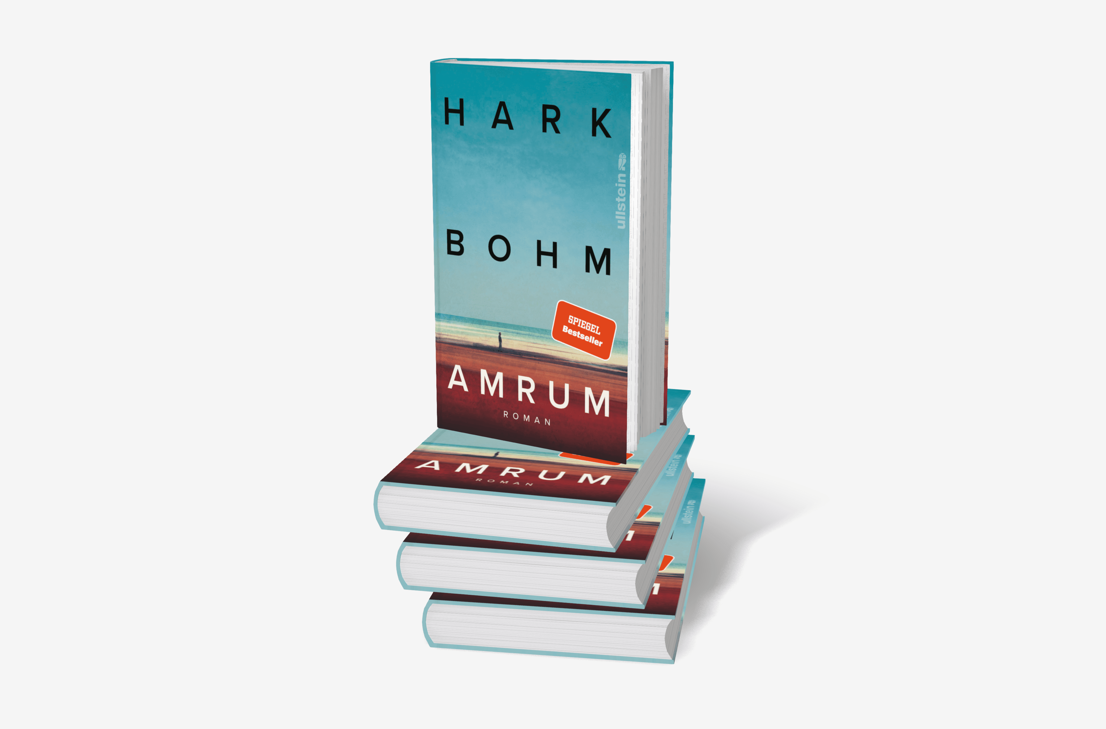 Buchcover von Amrum