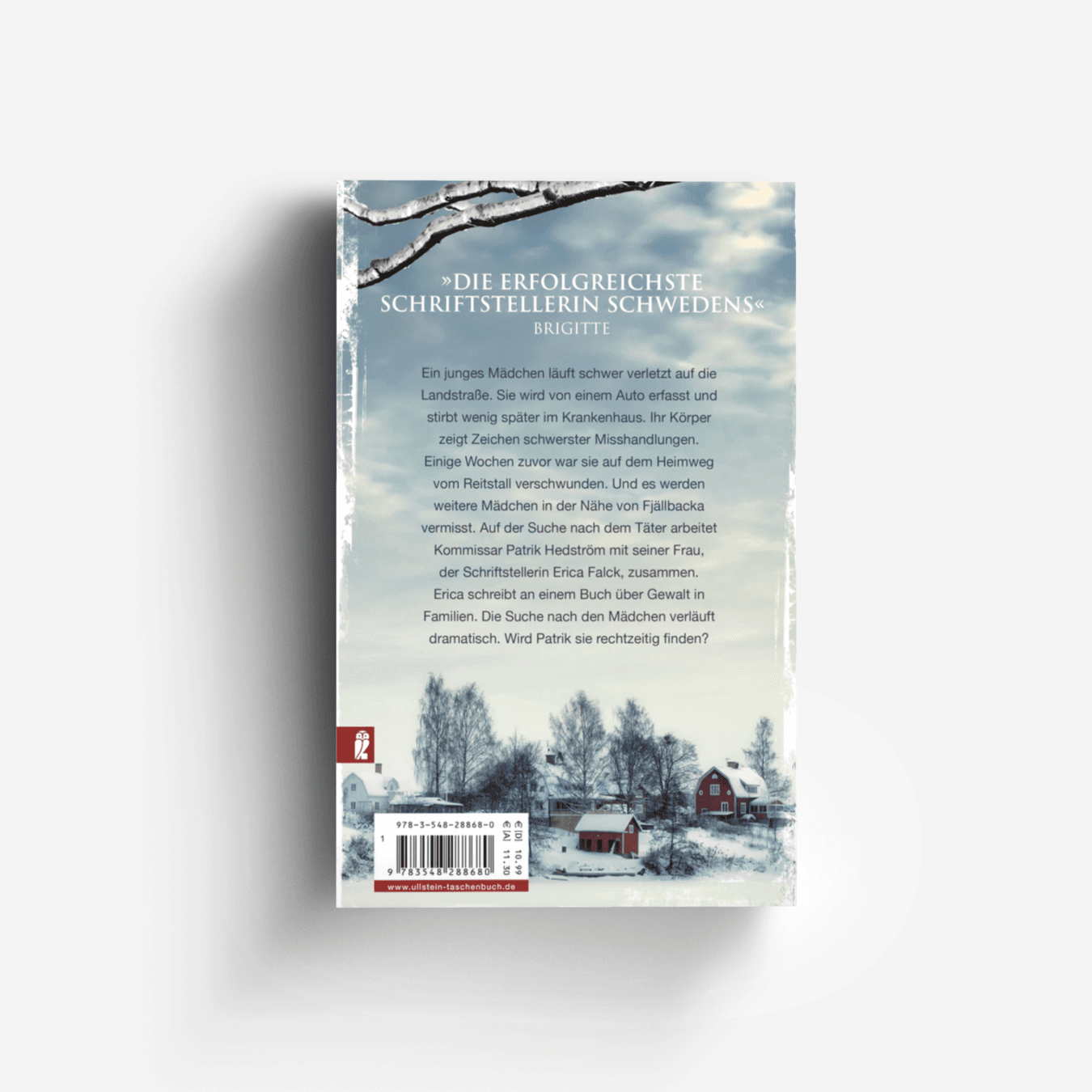 Buchcover von Die Schneelöwin (Ein Falck-Hedström-Krimi 9)