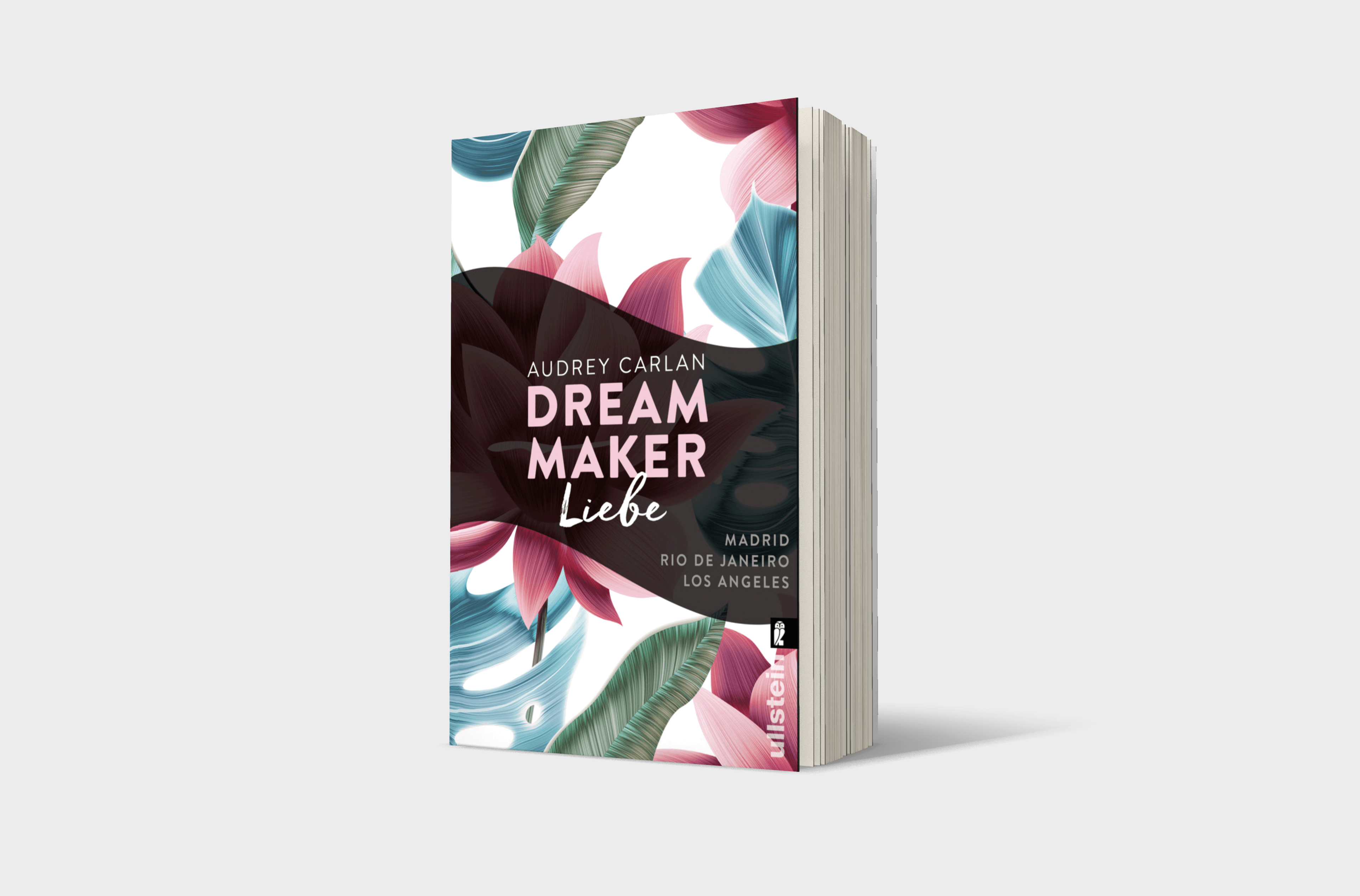 Buchcover von Dream Maker - Liebe (The Dream Maker 4)