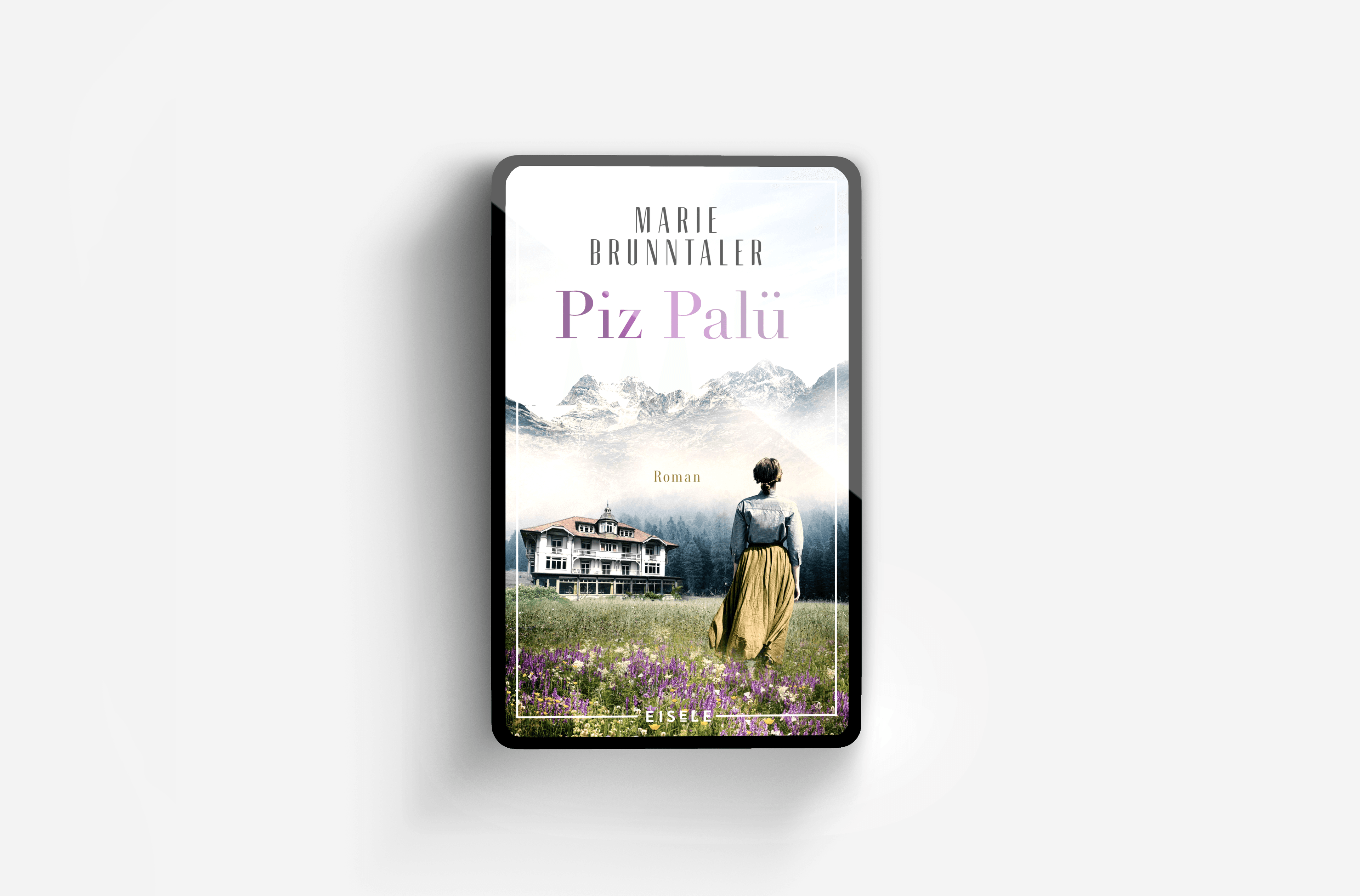 Buchcover von Piz Palü